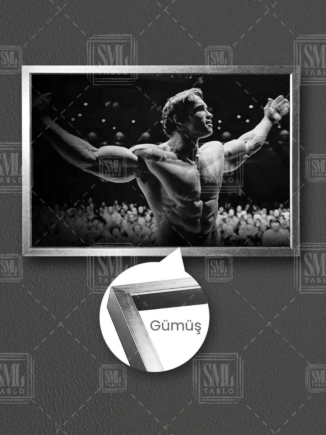 Fitness Spor Salon Motivasyon Arnold Schwarzenegger Mr Olympia Poster Boks Ringi Yatay Kanvas Tablo - Gümüş