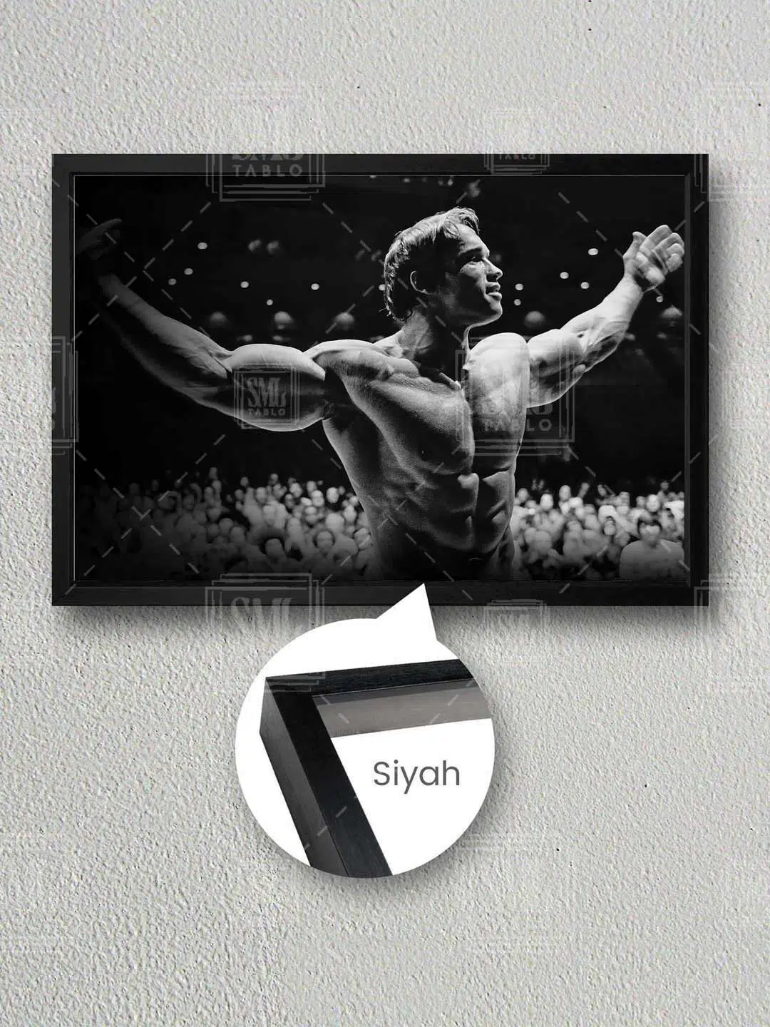 Fitness Spor Salon Motivasyon Arnold Schwarzenegger Mr Olympia Poster Boks Ringi Yatay Kanvas Tablo - Siyah
