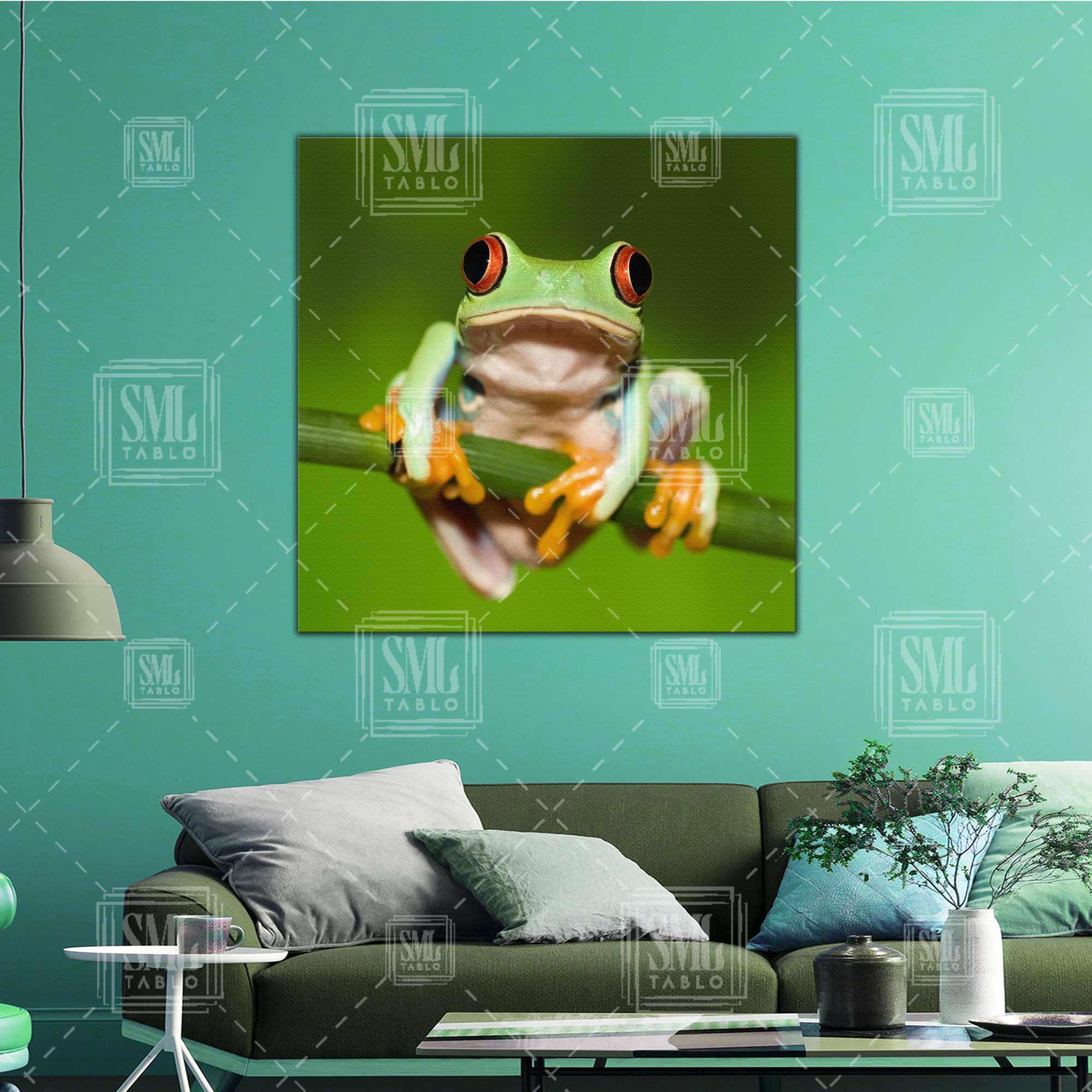 Makro Çekim Kurba Doğa Hayvan Kare Kanvas Tablo Makro Çekim Kurba Doğa Hayvan Kare Kanvas Tablo