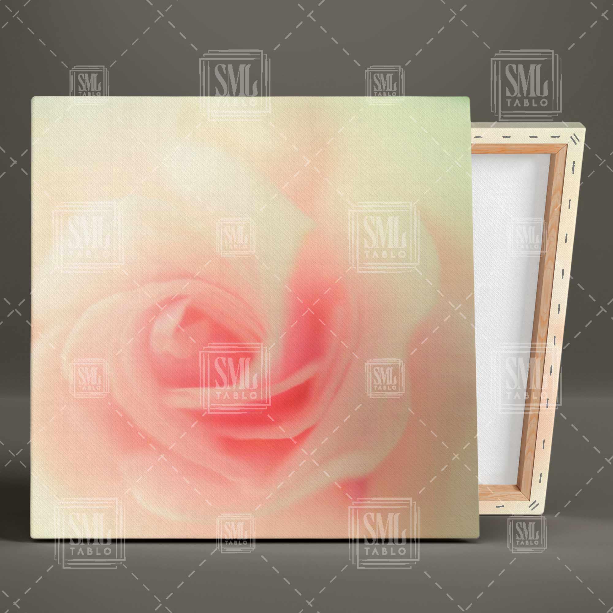 Pembe Gül Modern Dekoratif Kare Kanvas Tablo Pembe Gül Modern Dekoratif Kare Kanvas Tablo