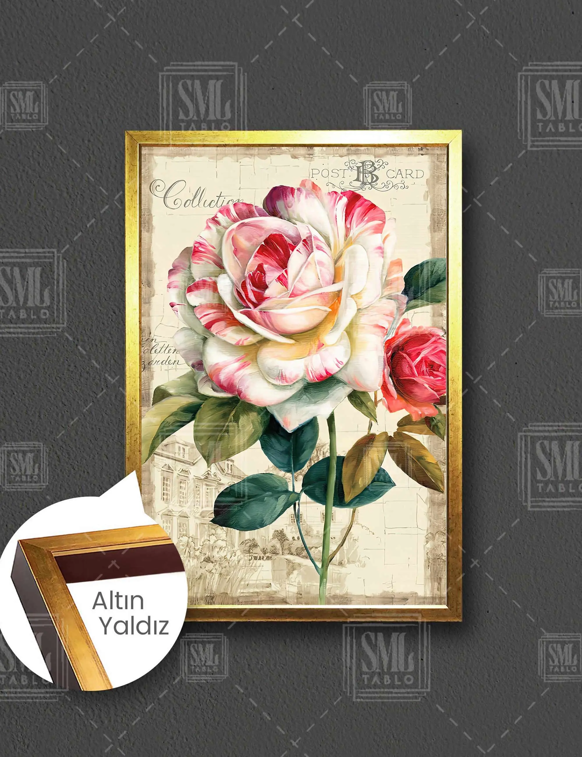 Pembe ve Beyaz Alacalı Gül Vintage Grand Jardin Dekoratif Çerçeveli Dikey Kanvas Tablo