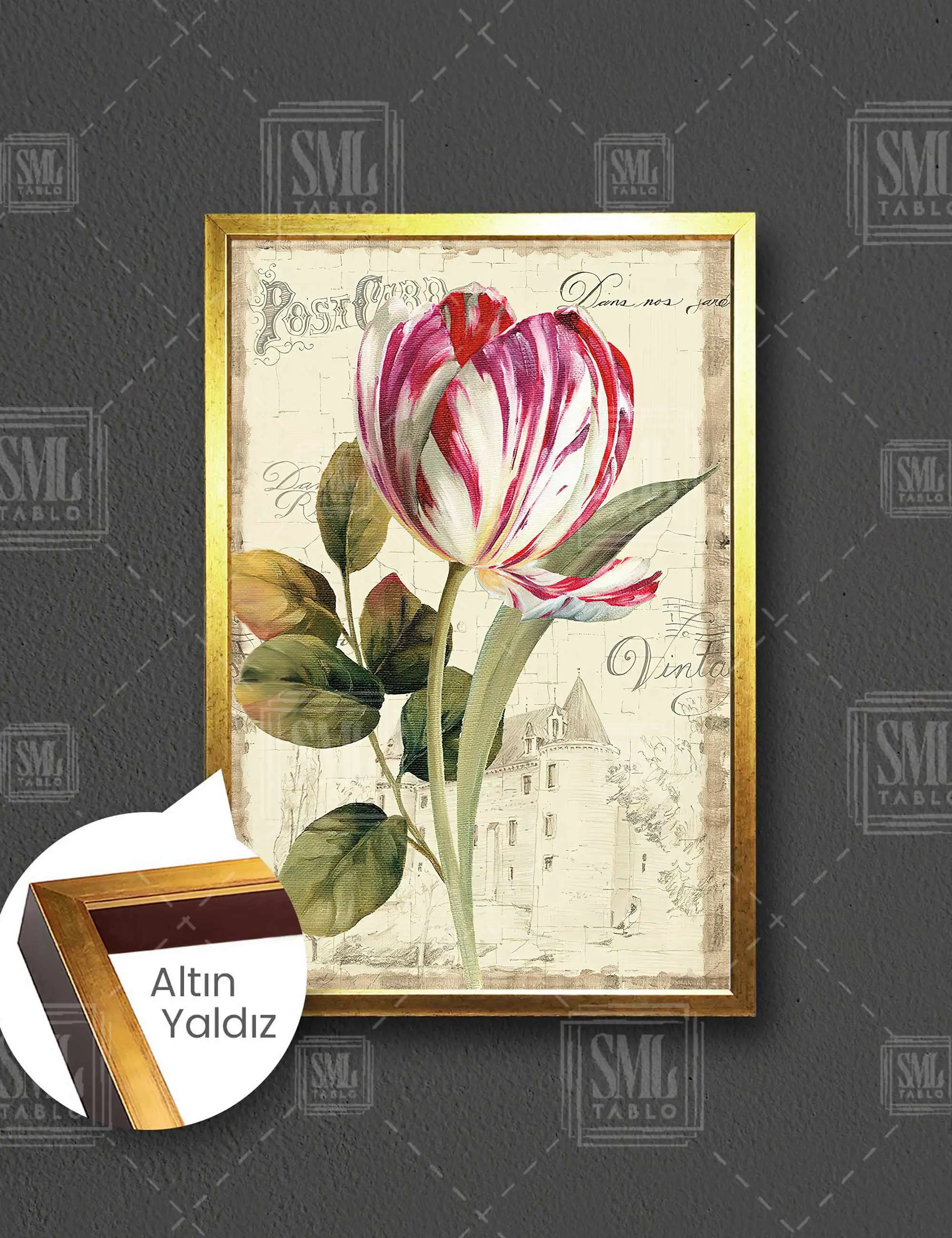 Pembe ve Beyaz Alacalı Lale Vintage Grand Jardin Dekoratif Çerçeveli Dikey Kanvas Tablo