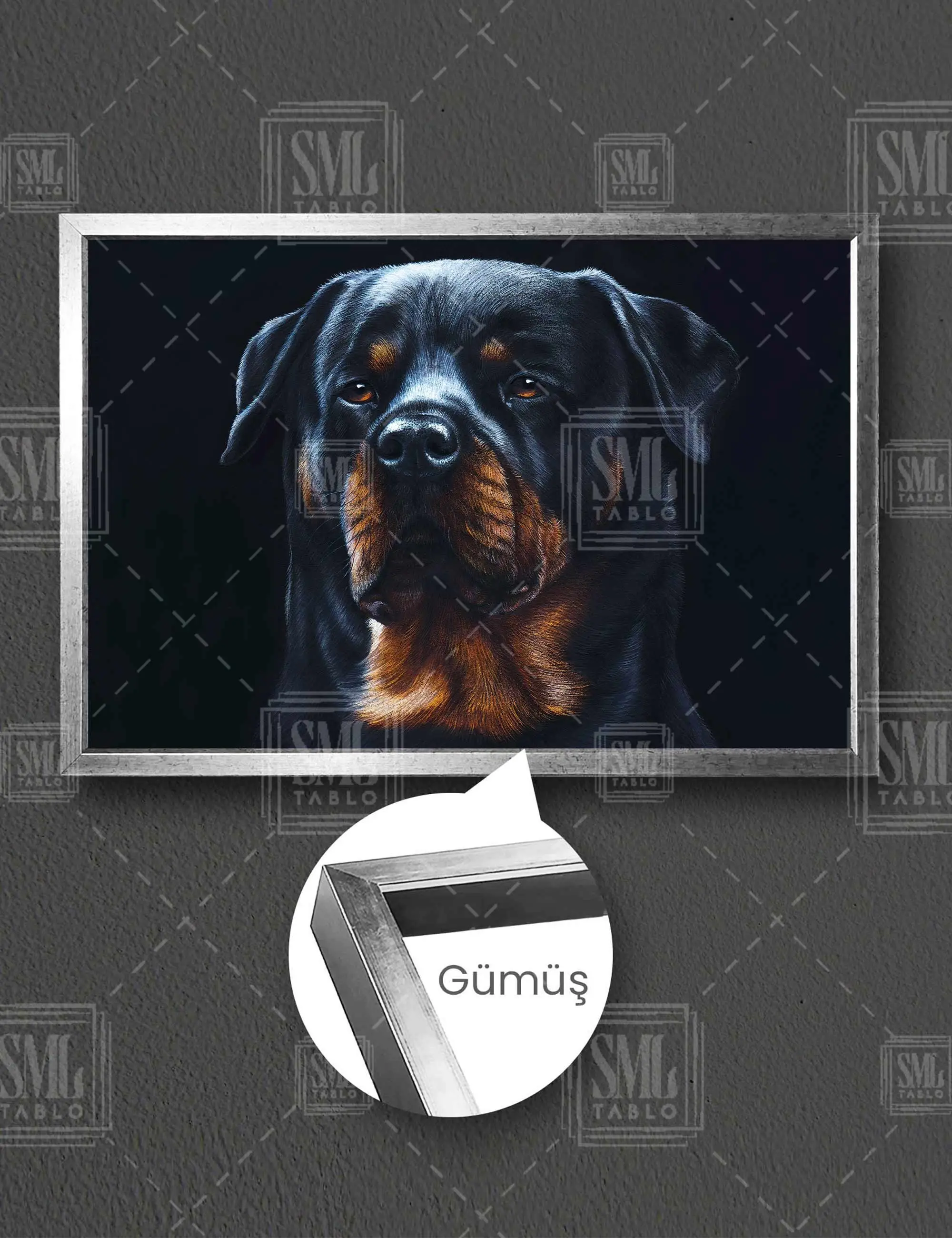 Rottweiler Asil Köpek Portresi Hayvan Çerçeveli Yatay Kanvas Tablo - Gümüş