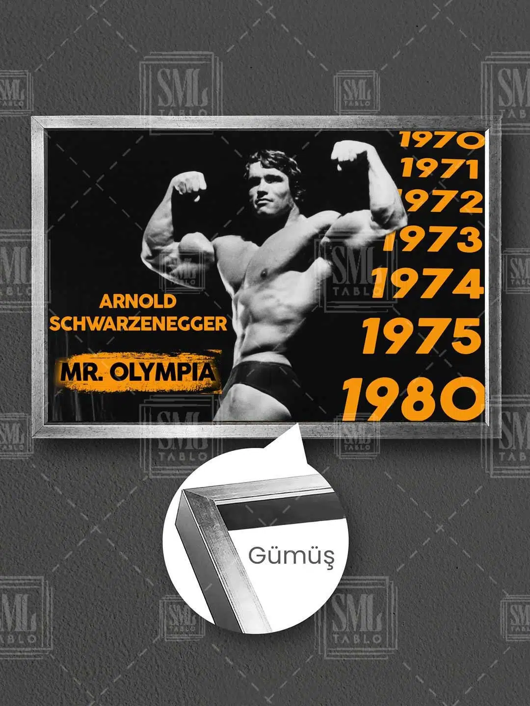 Arnold Schwarzenegger Poster Spor Salonu Mr Olympia Fitness Çerçeveli Yatay Kanvas Tablo - Gümüş