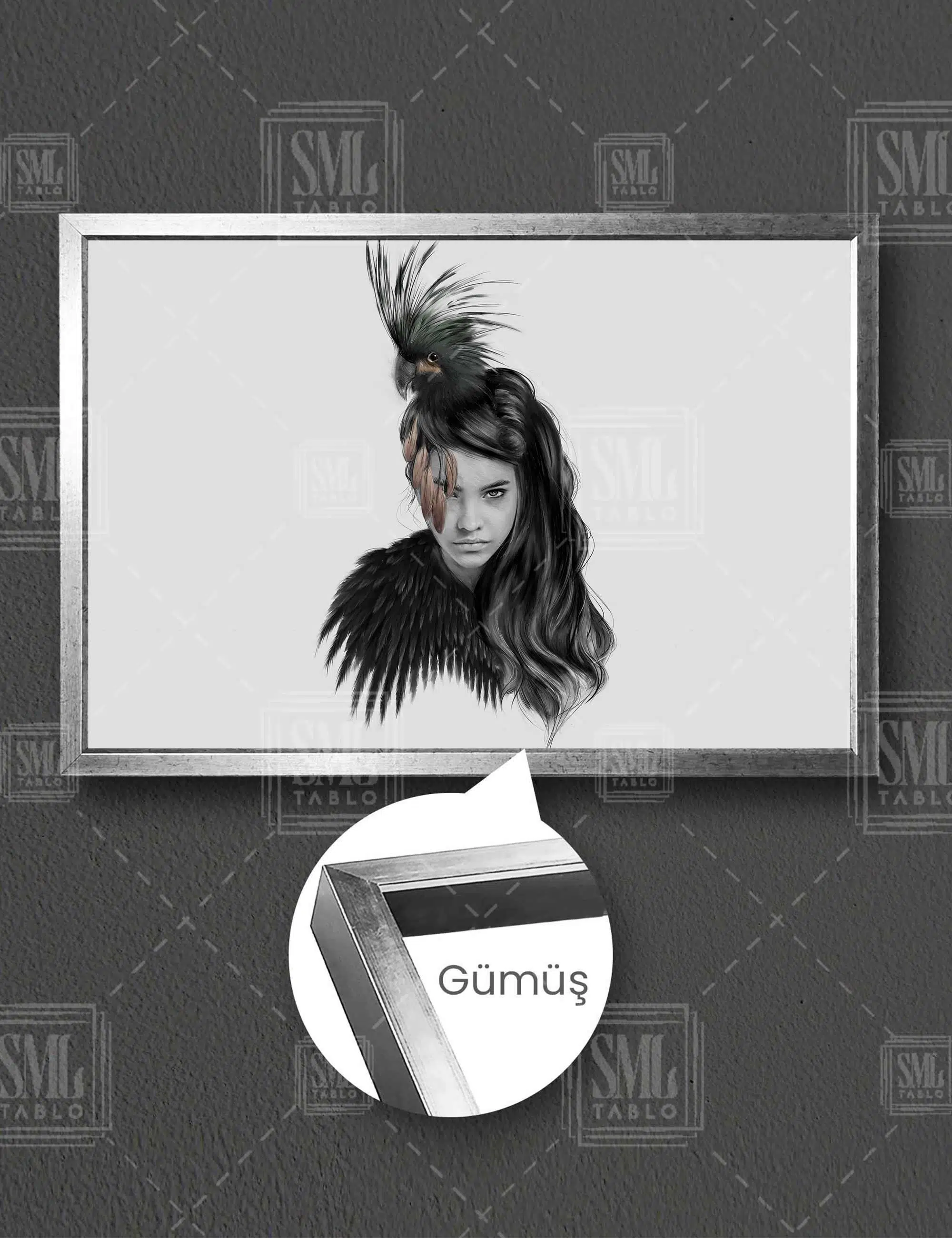 Kuş Saçlı Kadın Woman With Bird Hair Siyah Kuş Karga Yatay Çerçeveli Kanvas Tablo - Gümüş