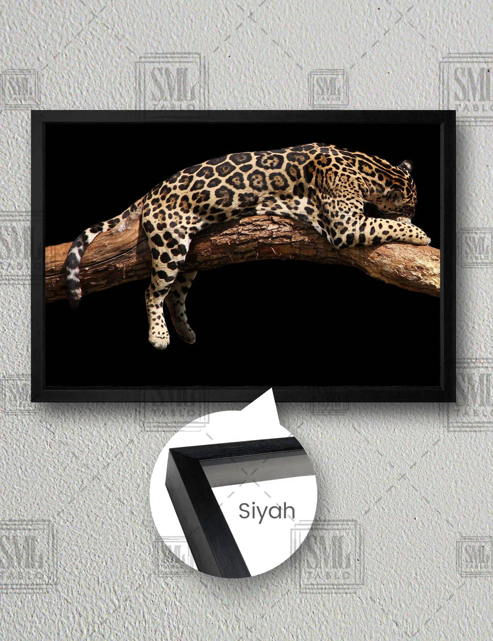 Ağaçta Yatan Leopar Hayvan Doğa Gece Orman Yatay Çerçeveli Kanvas Tablo - Siyah