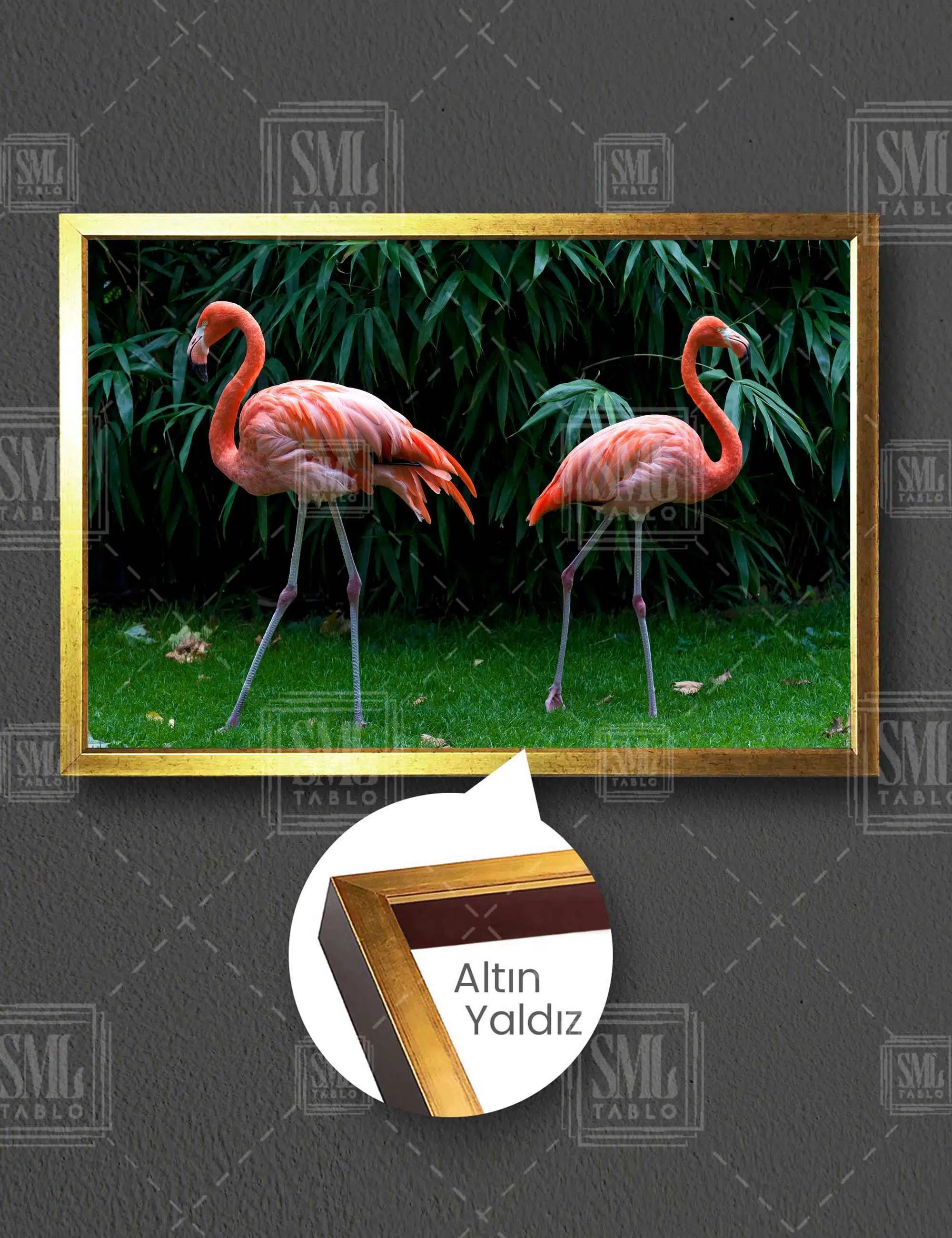 Pembe Flamingo Çifti Doğa Manzara Hayvan Yatay Çerçeveli Kanvas Tablo