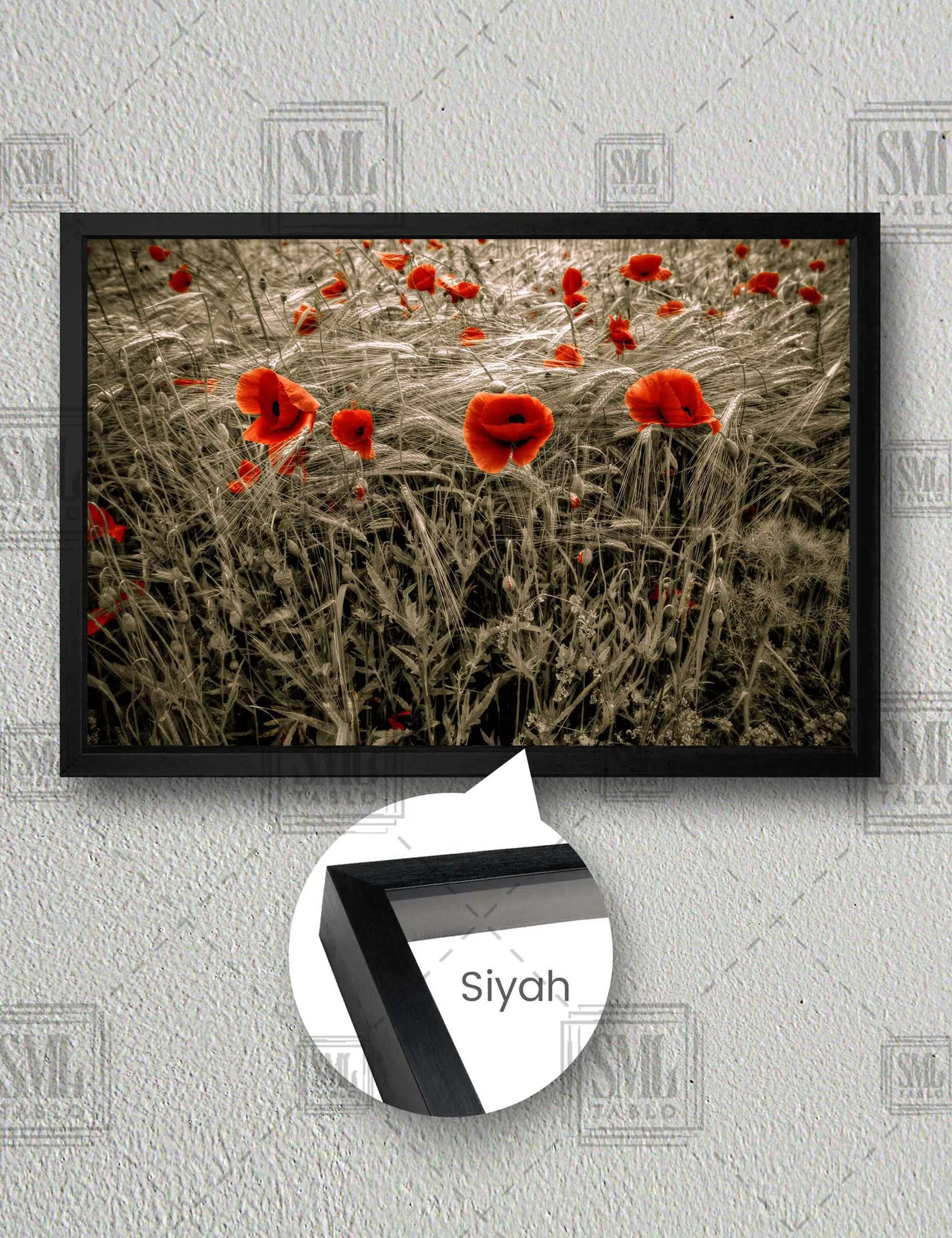 Yakın Çekim Kırmızı Gelincik Çiçeği Ve Buğday Başakları Yatay Çerçeveli Kanvas Tablo - Siyah