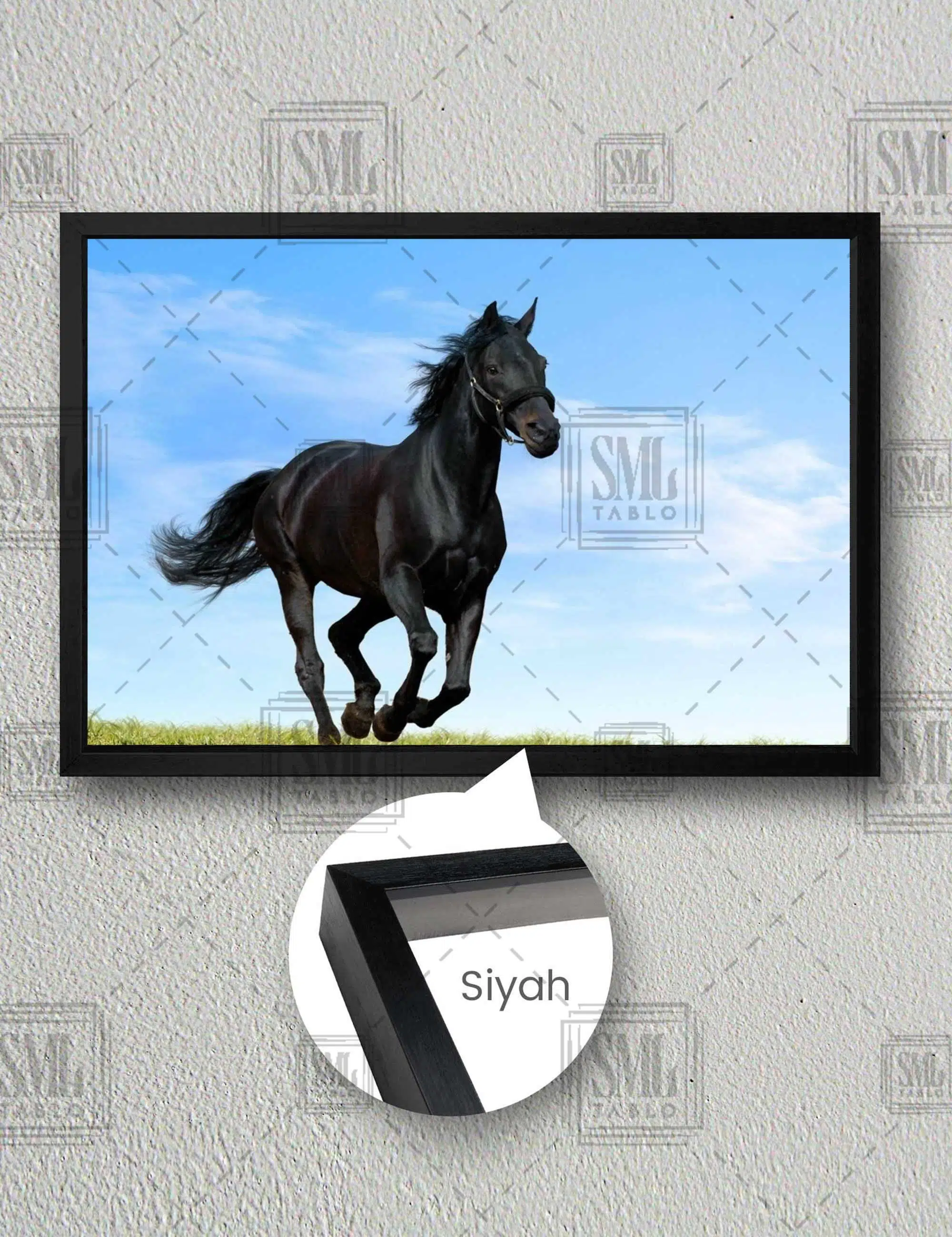 Kırda Koşan Siyah At Asalet Yatay Çerçeveli Kanvas Tablo - Siyah