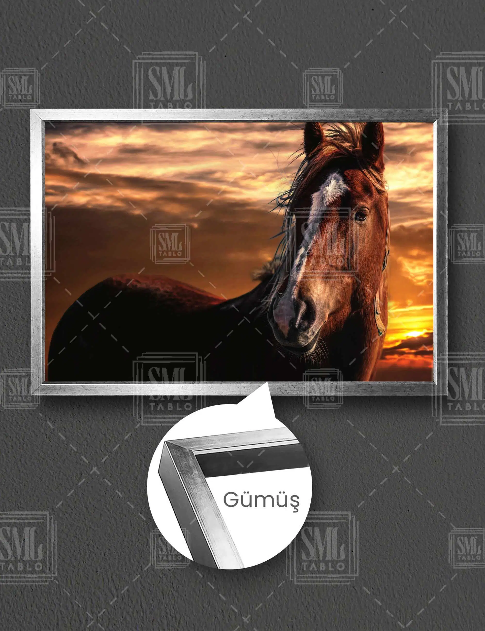 Gün Batımında Yakın Çekim At Yatay Çerçeveli Kanvas Tablo - Gümüş