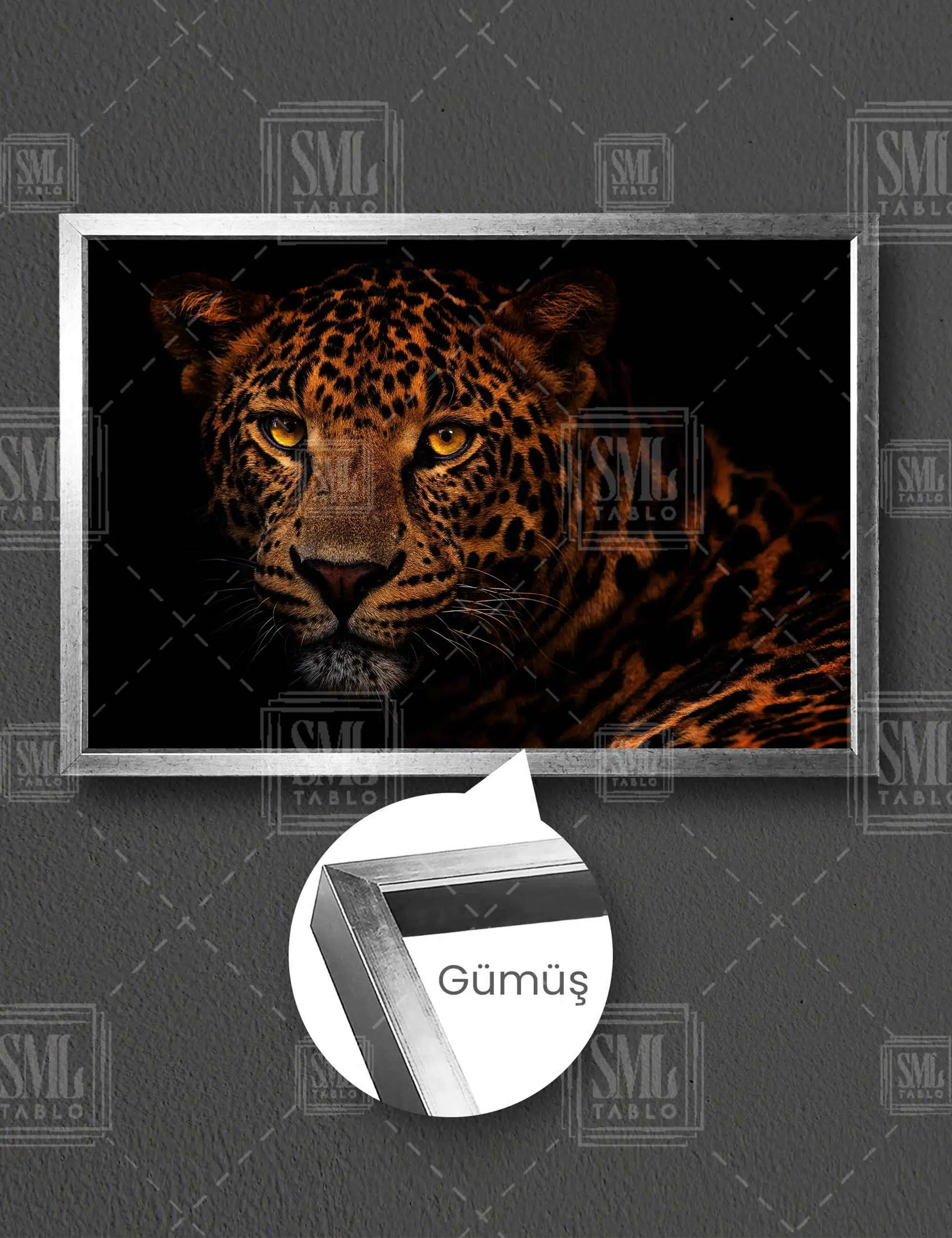 Vahşi Leopar Growlıng Leopard Afrika Aslan Yatay Çerçeveli Kanvas Tablo - Gümüş