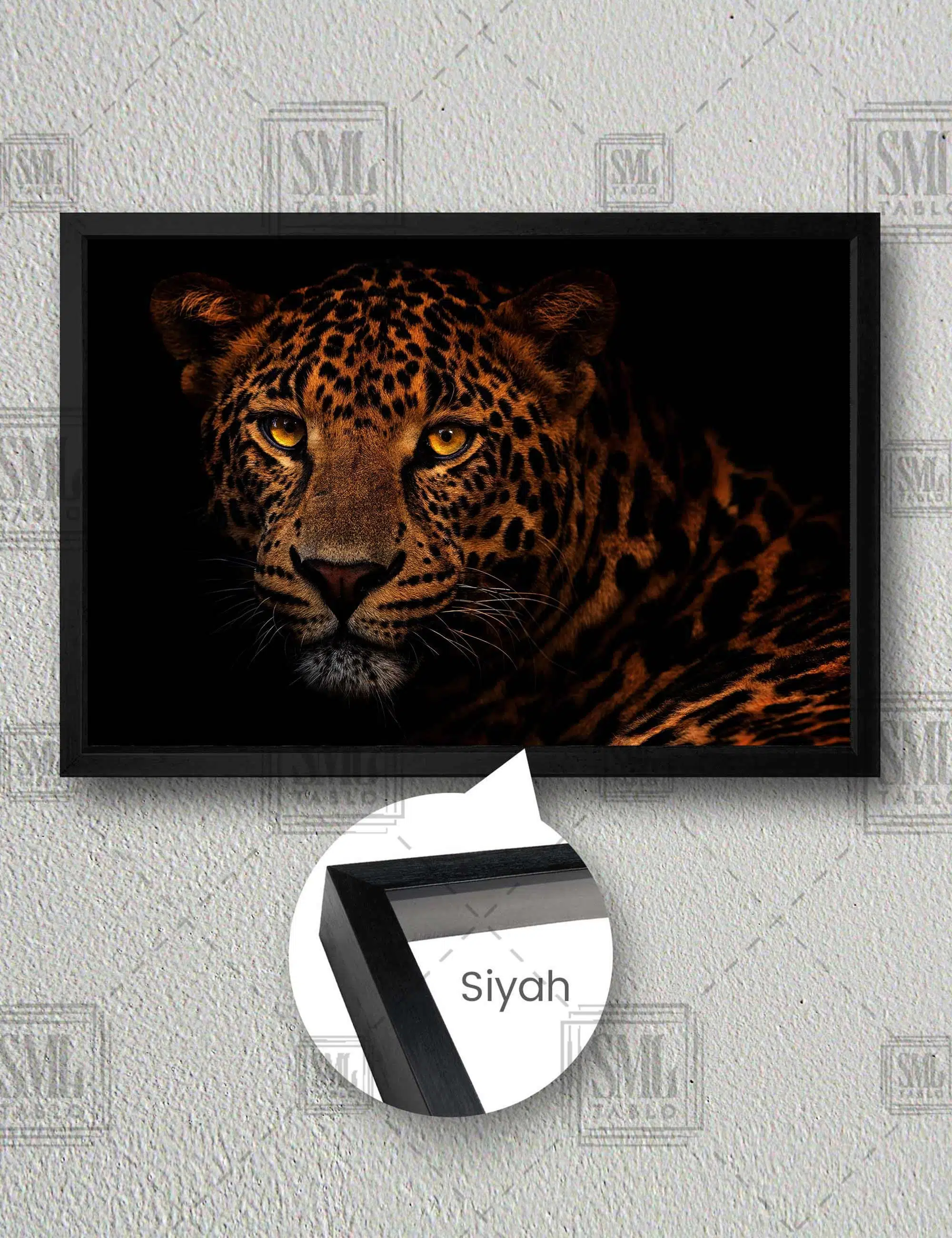 Vahşi Leopar Growlıng Leopard Afrika Aslan Yatay Çerçeveli Kanvas Tablo - Siyah