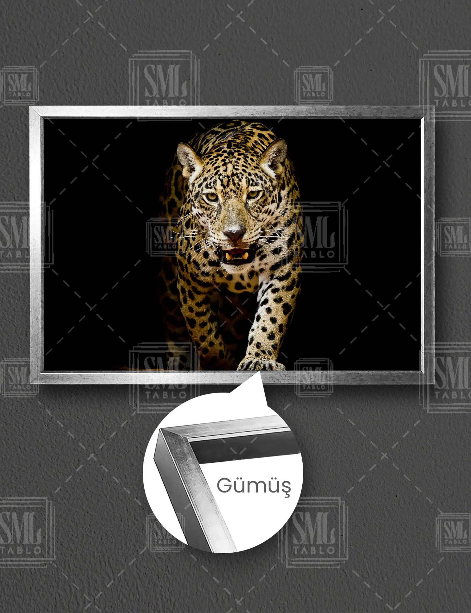 Kükreyen Vahşi Leopar Leopard Afrika Aslan Yatay Çerçeveli Kanvas Tablo - Gümüş