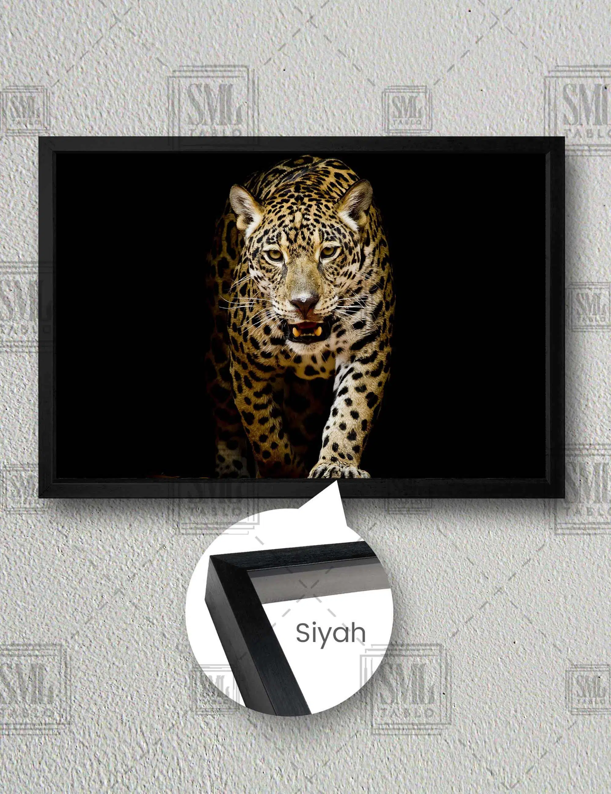 Kükreyen Vahşi Leopar Leopard Afrika Aslan Yatay Çerçeveli Kanvas Tablo - Siyah