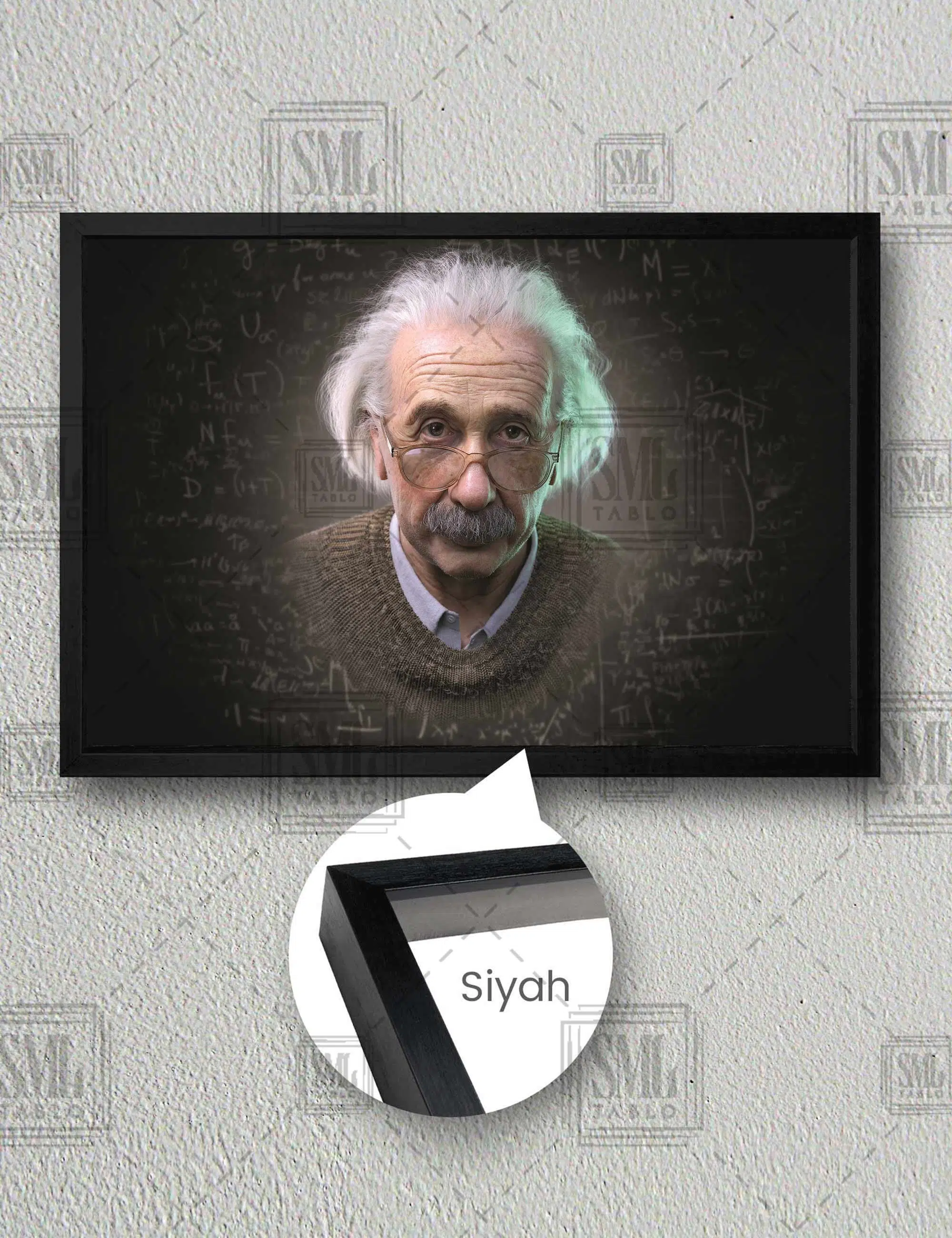 Albert Einstein Bilim Dahi Dekor Yatay Çerçeveli Kanvas Tablo - Siyah