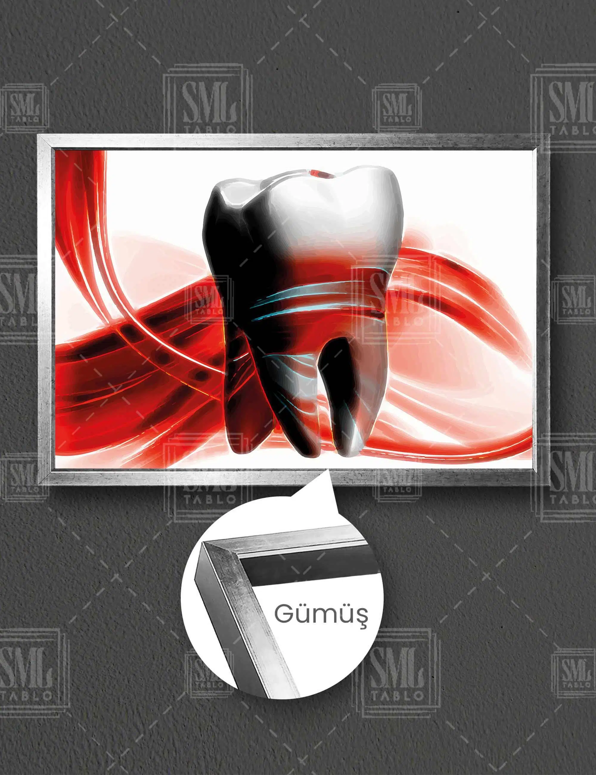 Ağız Sağlığı Diş Hekimi Büro Dental Art Dekoratif Yatay Çerçeveli Kanvas Tablo - Gümüş