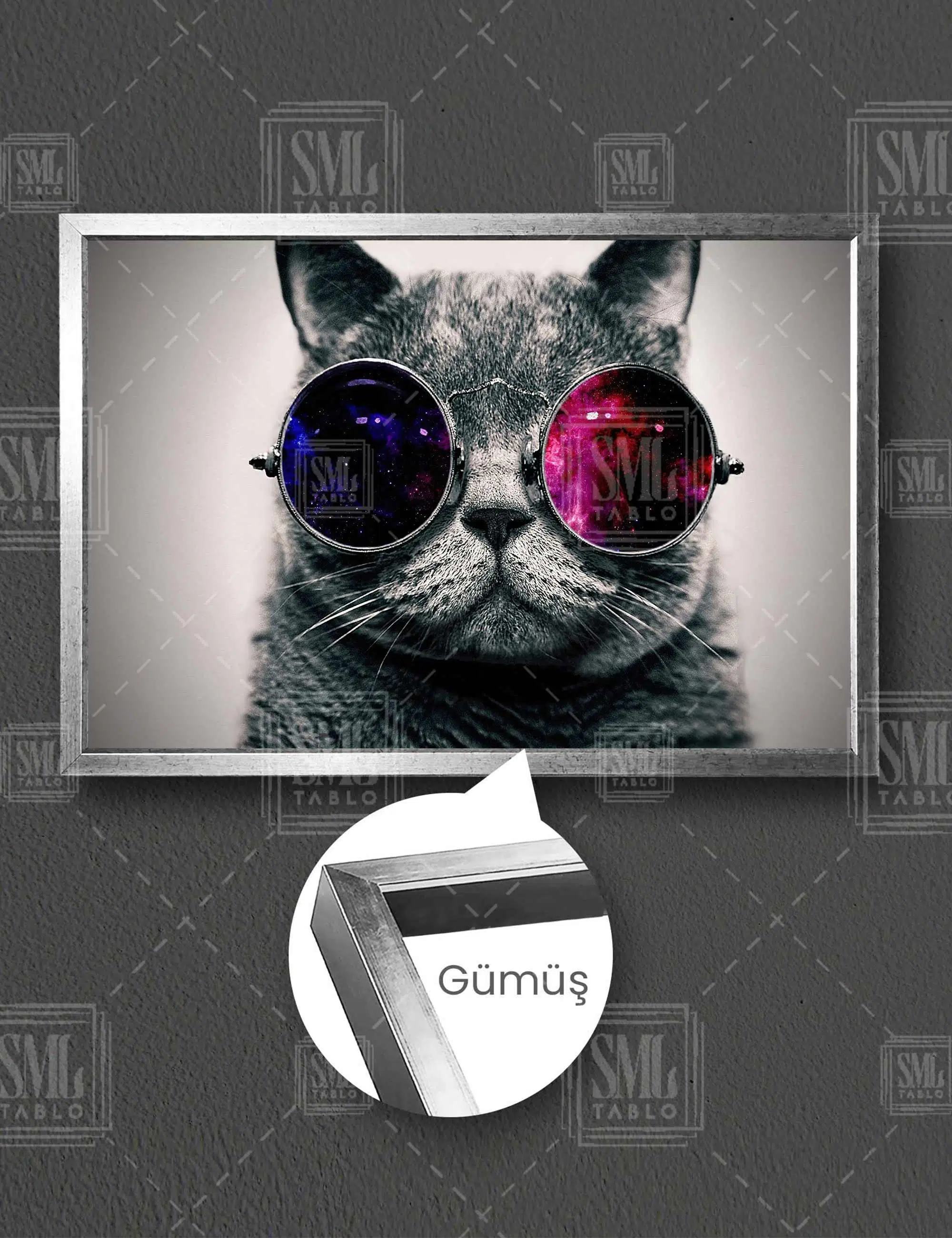 Gözlük Takmış Uzaya Bakan Cool Kedi Karizma Dekor Yatay Çerçeveli Kanvas Tablo - Gümüş