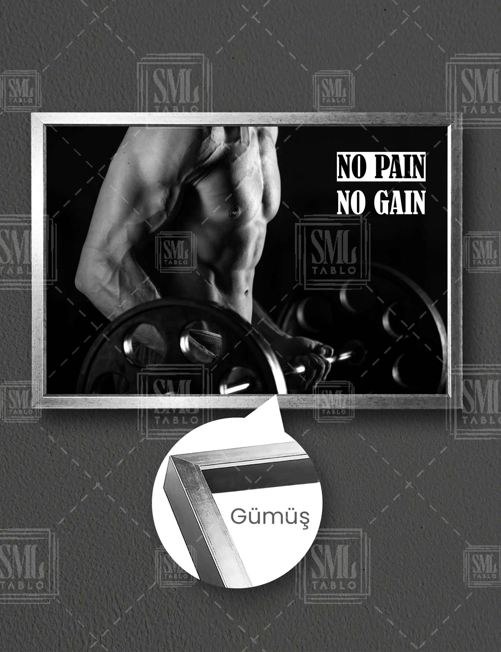 Spor Salonu Badi Vücut Geliştirme Dekor No Pain No Gain Yatay Çerçeveli Kanvas Tablo - Gümüş