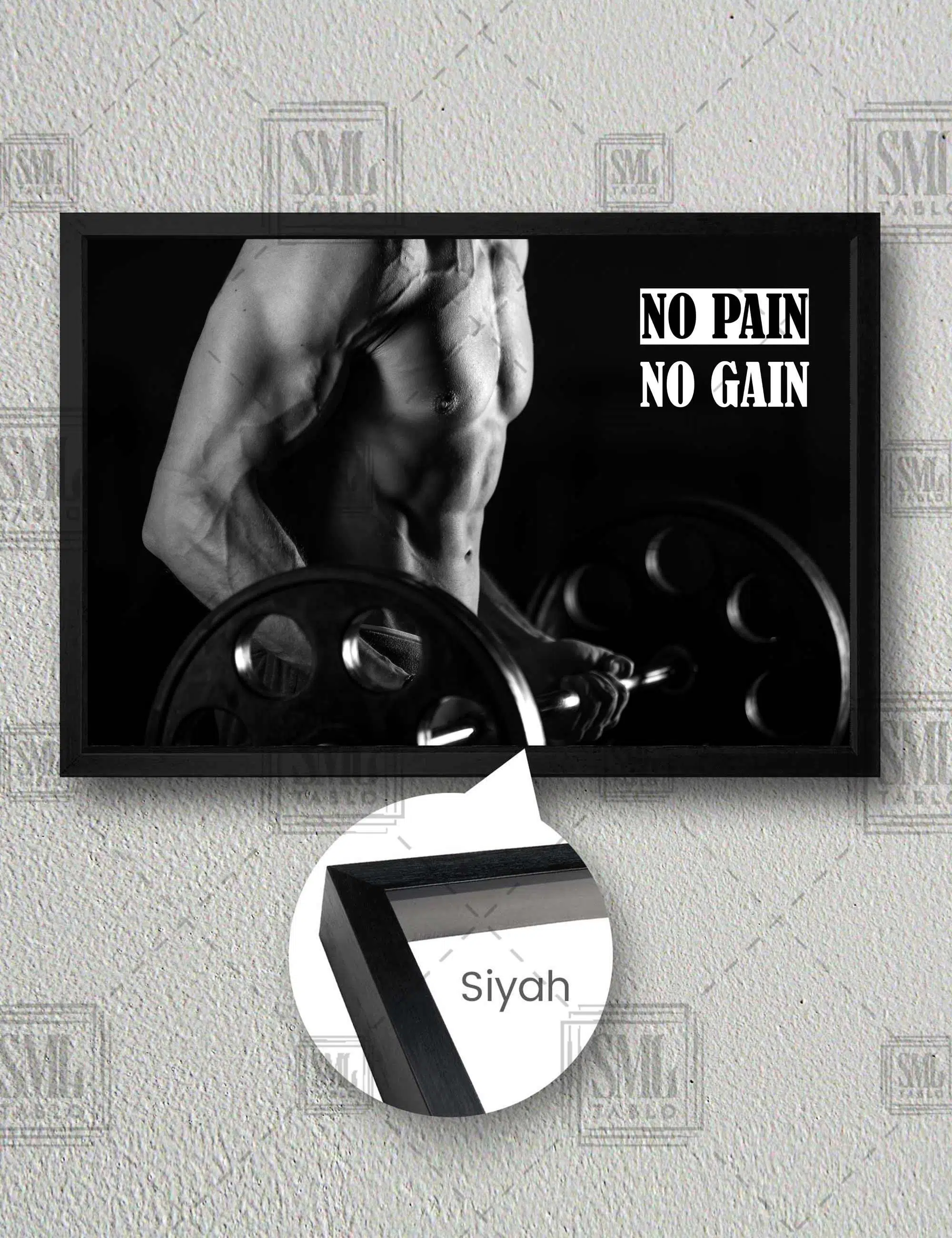 Spor Salonu Badi Vücut Geliştirme Dekor No Pain No Gain Yatay Çerçeveli Kanvas Tablo - Siyah