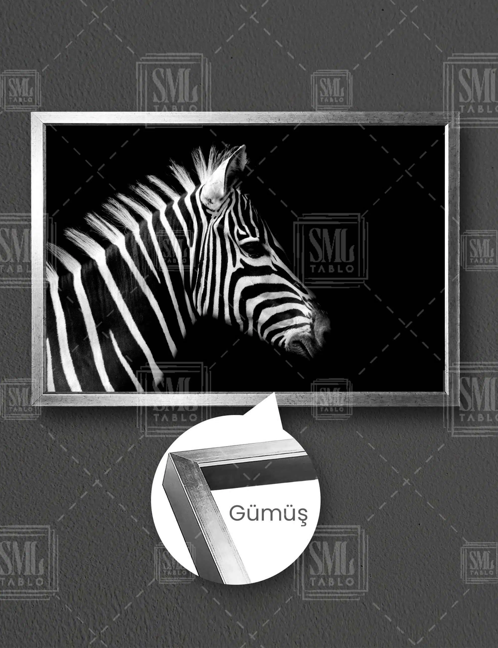 Zebra Kafası Afrika Hayvan Siyah Beyaz Yatay Çerçeveli Kanvas Tablo - Gümüş