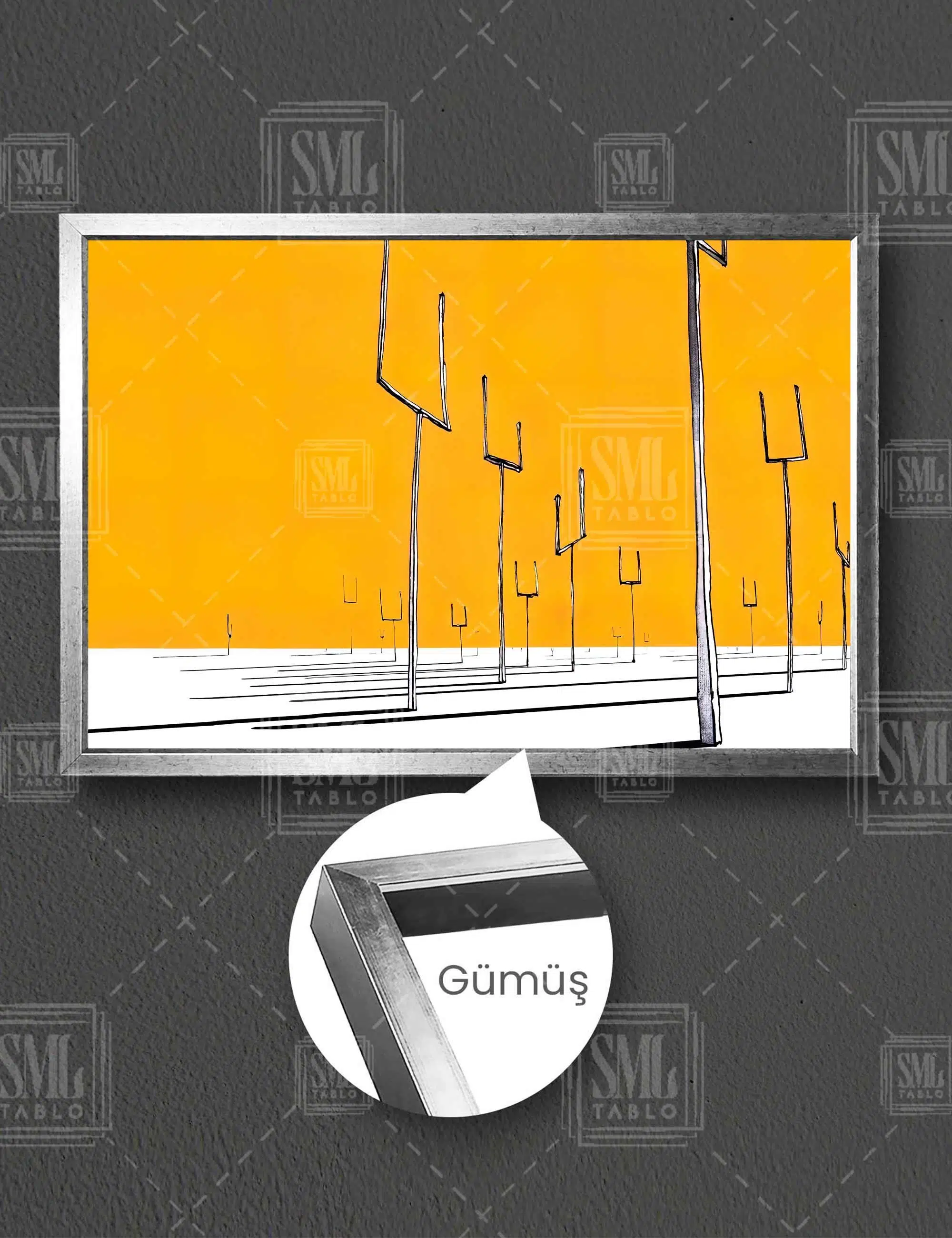 Muse Muzik Grubu Albüm Kapağı Yatay Çerçeveli Kanvas Tablo - Gümüş