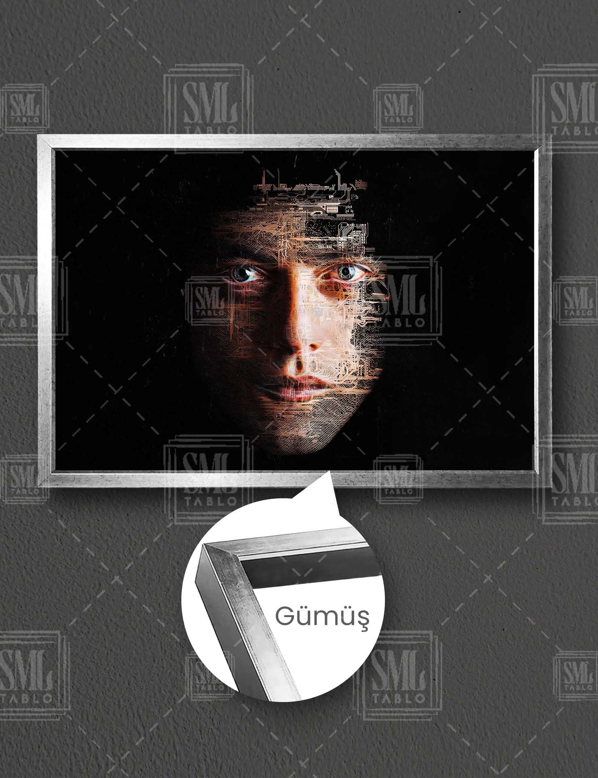 Mr Robot Hacker İşlemci Bilgisayar Parçaları Yüz Silüeti Yatay Çerçeveli Kanvas Tablo - Gümüş