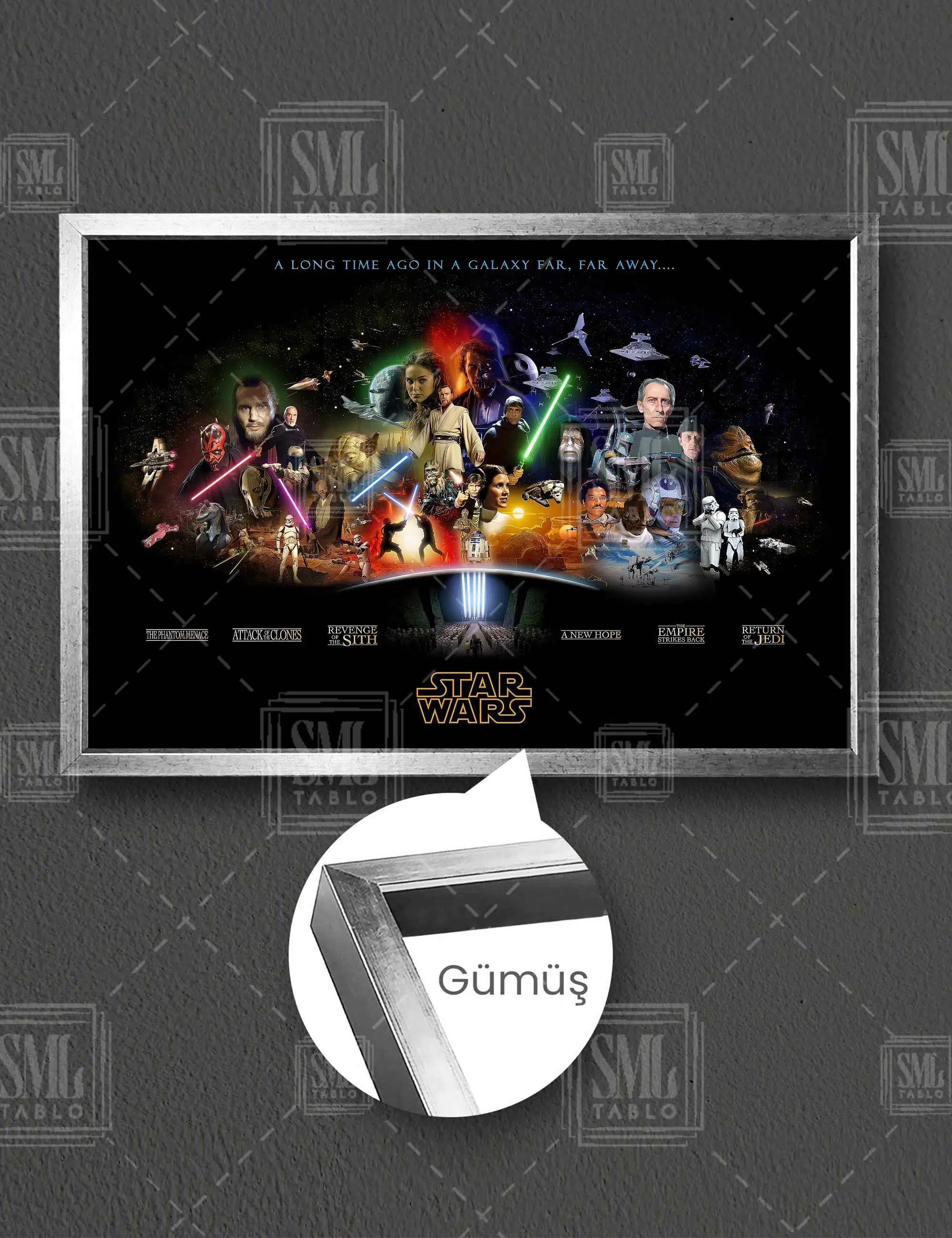 Star Wars Evreni Filmler Ve Karakterleri Yatay Çerçeveli Kanvas Tablo - Gümüş