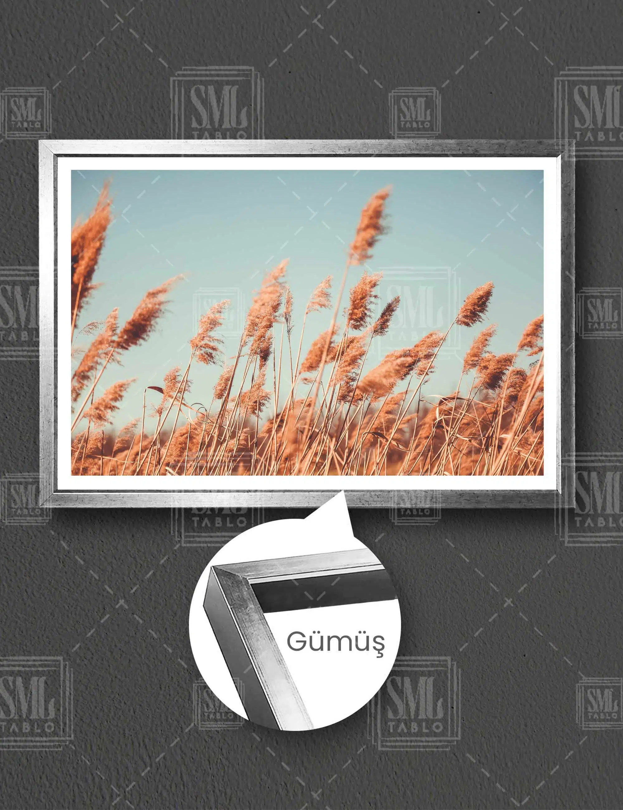 Pampas Tarlası Natural Romantik Kurumuş Bitki Yatay Çerçeveli Kanvas Tablo - Gümüş