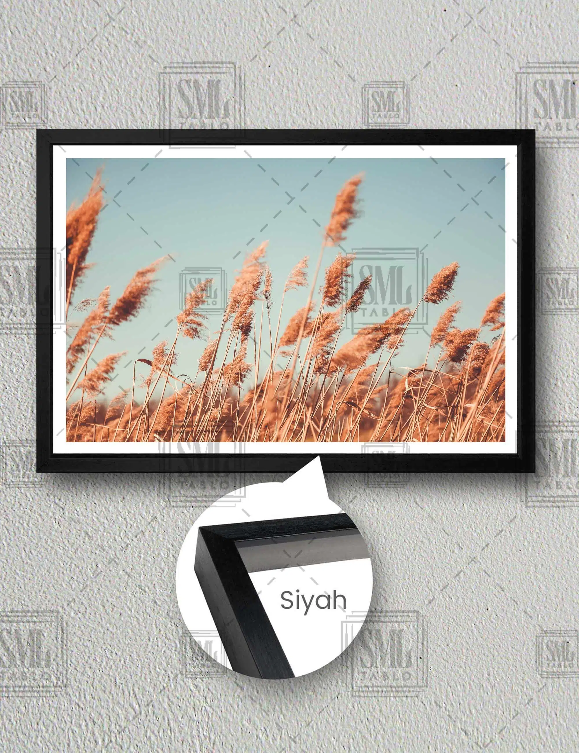 Pampas Tarlası Natural Romantik Kurumuş Bitki Yatay Çerçeveli Kanvas Tablo - Siyah