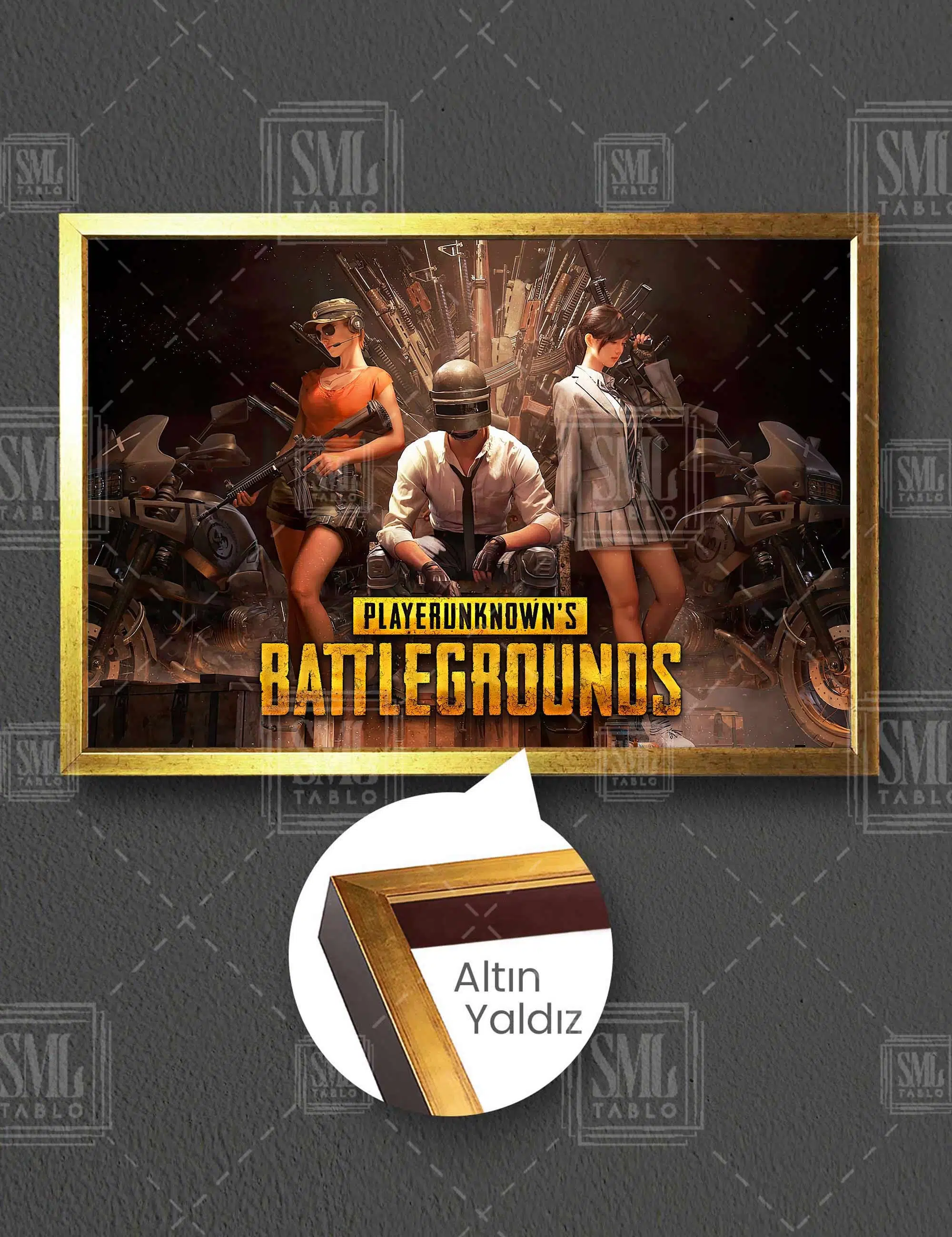 Pubg Mobil Oyun Taht Yatay Çerçeveli Kanvas Tablo