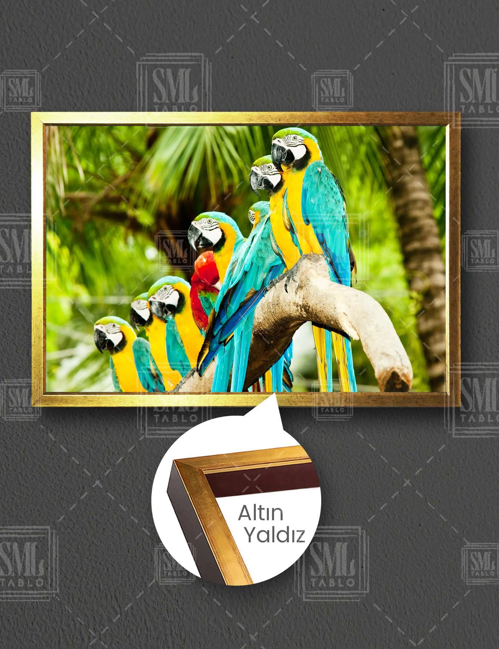 Tropik Orman Macaw Papağanı Yatay Çerçeveli Kanvas Tablo