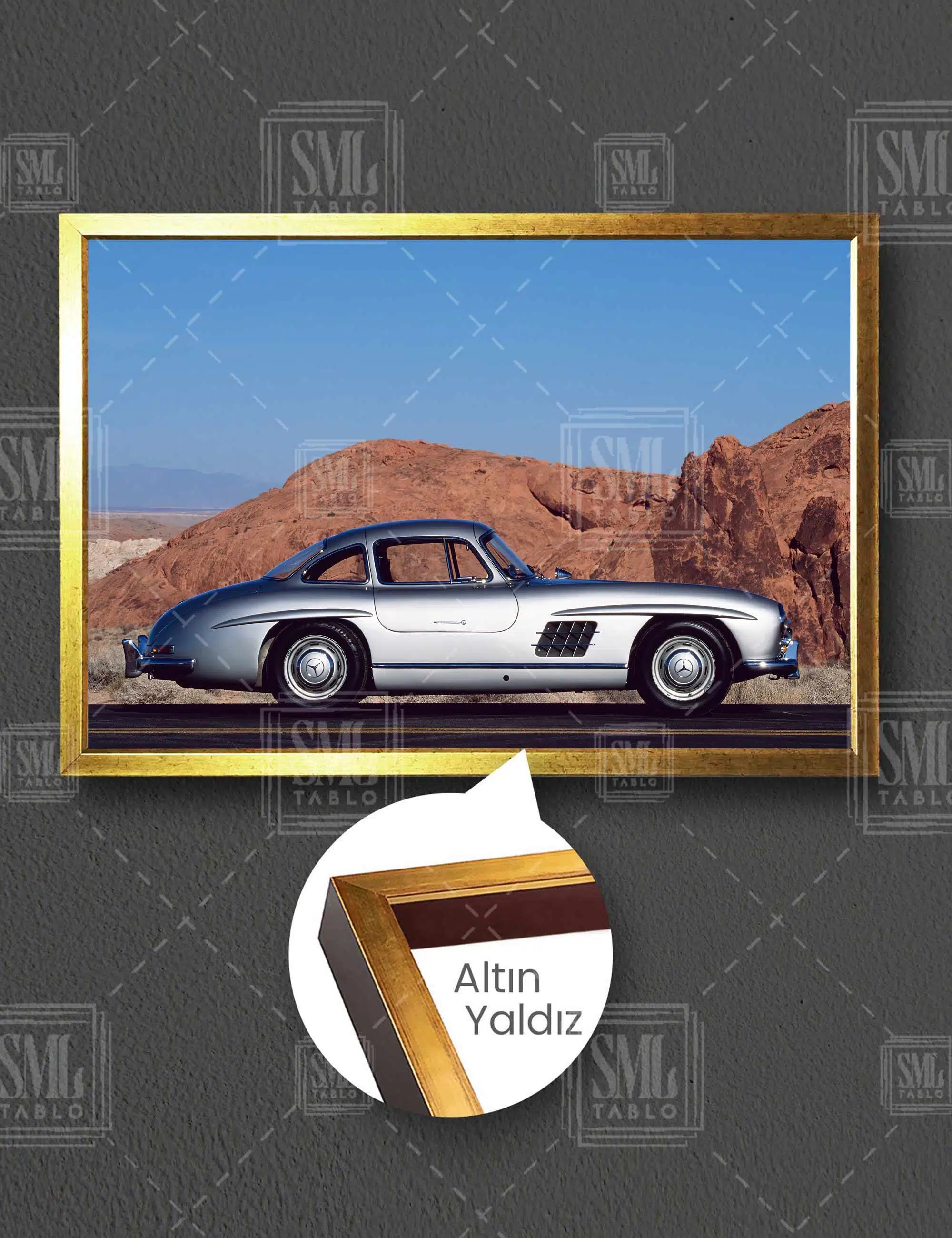 Mercedes Benz 300 Sl Gri Kanat Kapı Yatay Çerçeveli Kanvas Tablo