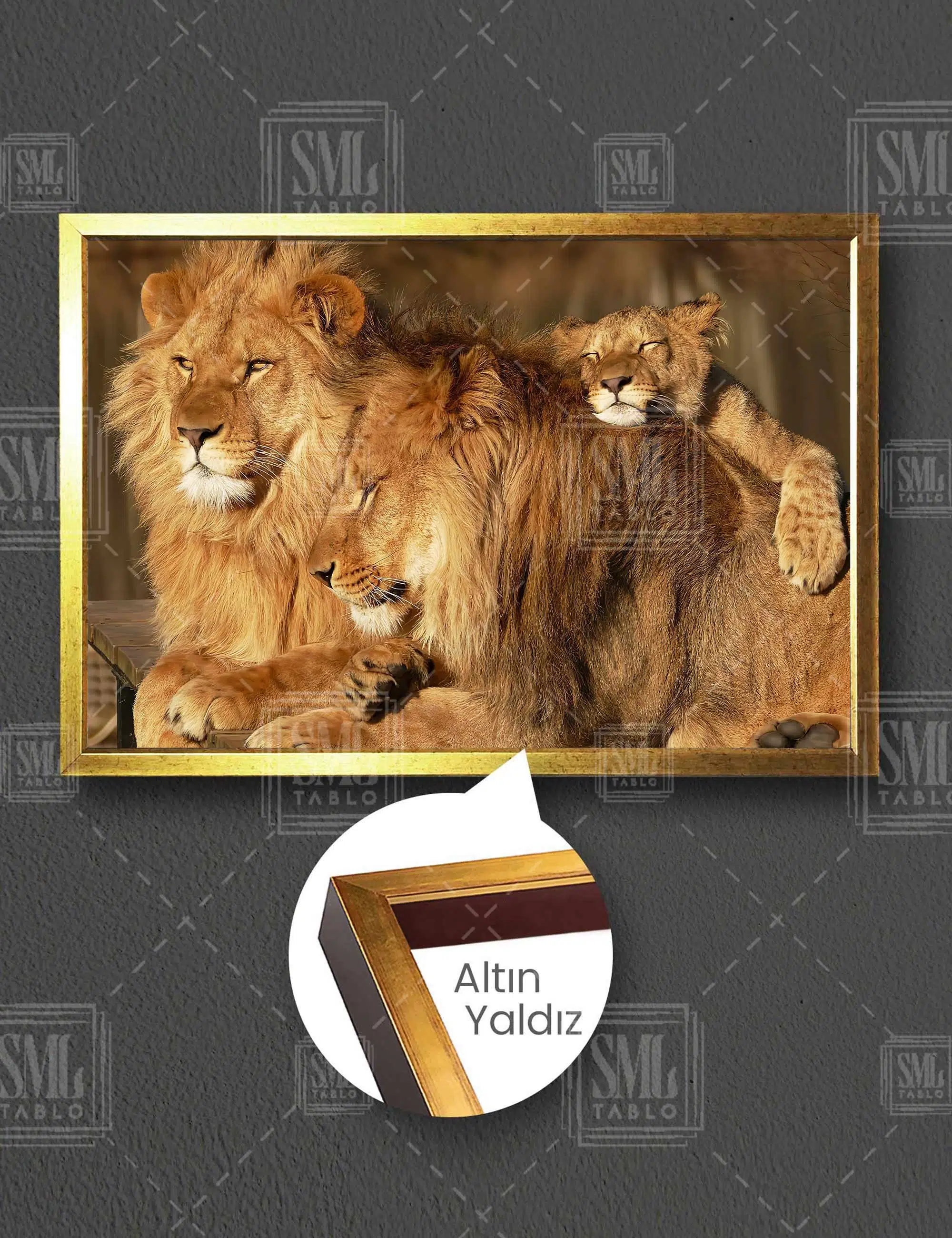 Asil Aslan Ailesi Ormanlar Kralı Kaplan Yavru Aslan Hayvan Yatay Çerçeveli Kanvas Tablo