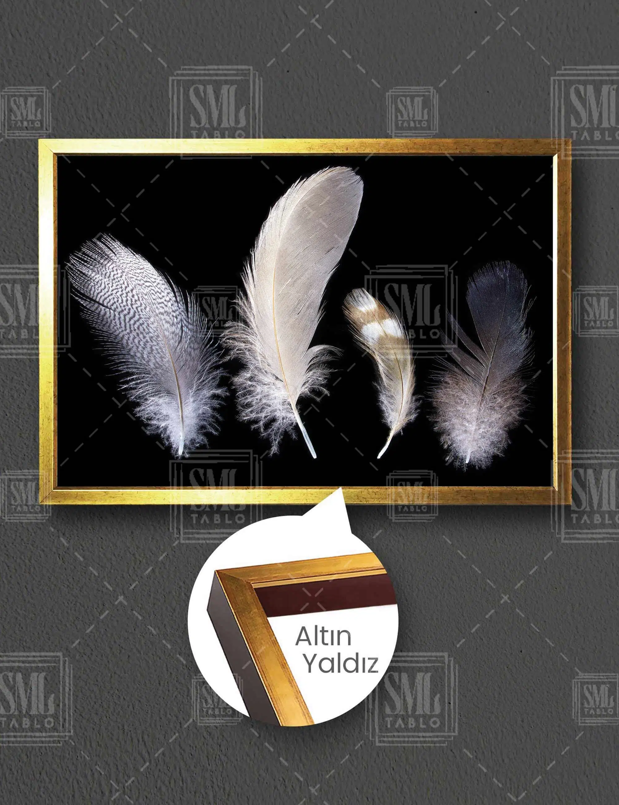 Kuş Tüyü Türleri Bird Feather Dekor Yatay Çerçeveli Kanvas Tablo