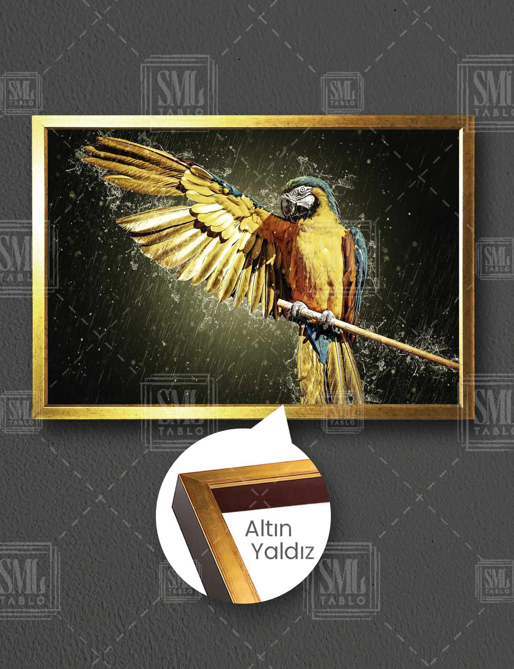 Yağmurun Altında Kanadını Açan Macaw Papağanı Doğa Hayvan Yatay Çerçeveli Kanvas Tablo