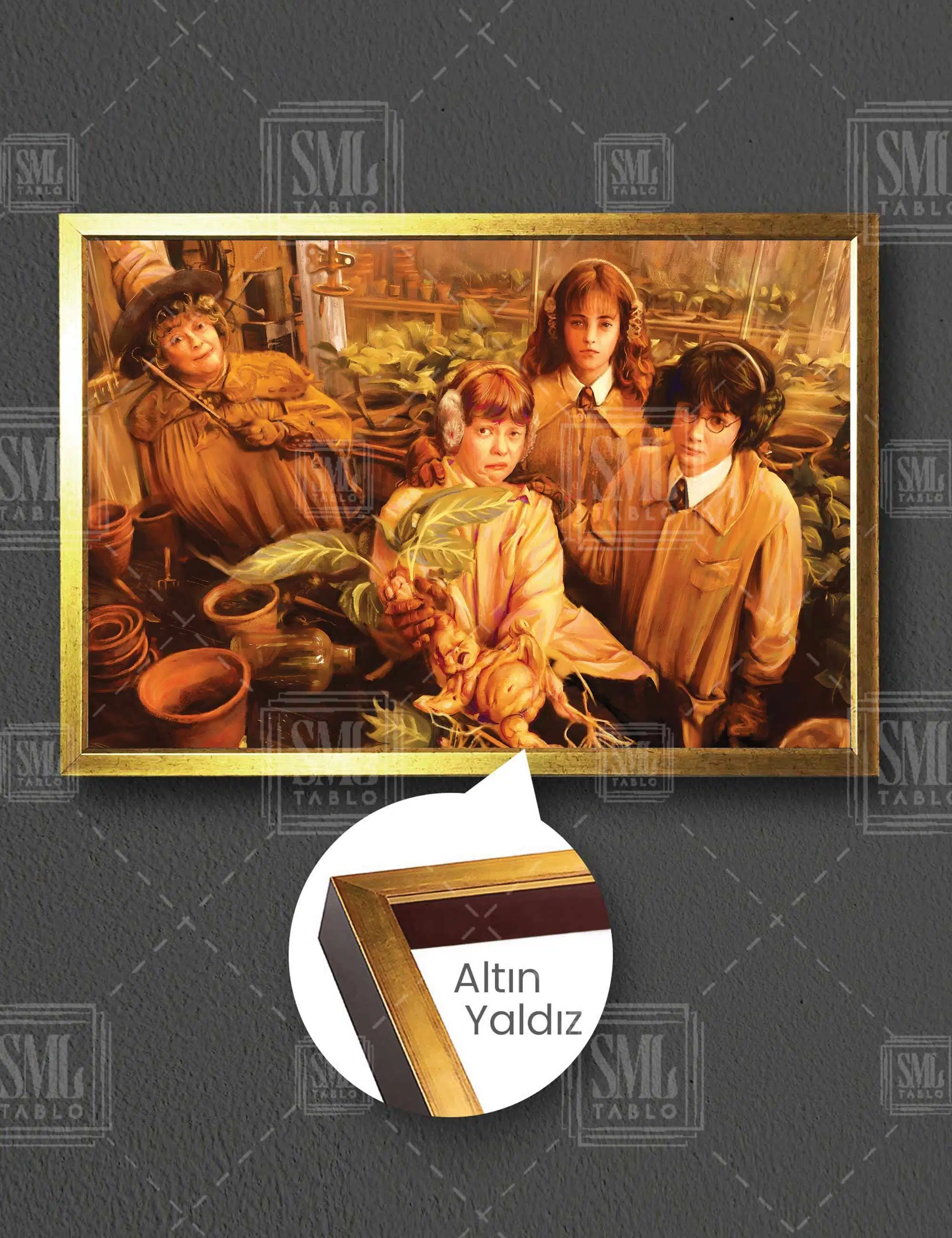 Harry Potter Ve Arkadaşları Sihir Okulu Adam Otu Yatay Çerçeveli Kanvas Tablo