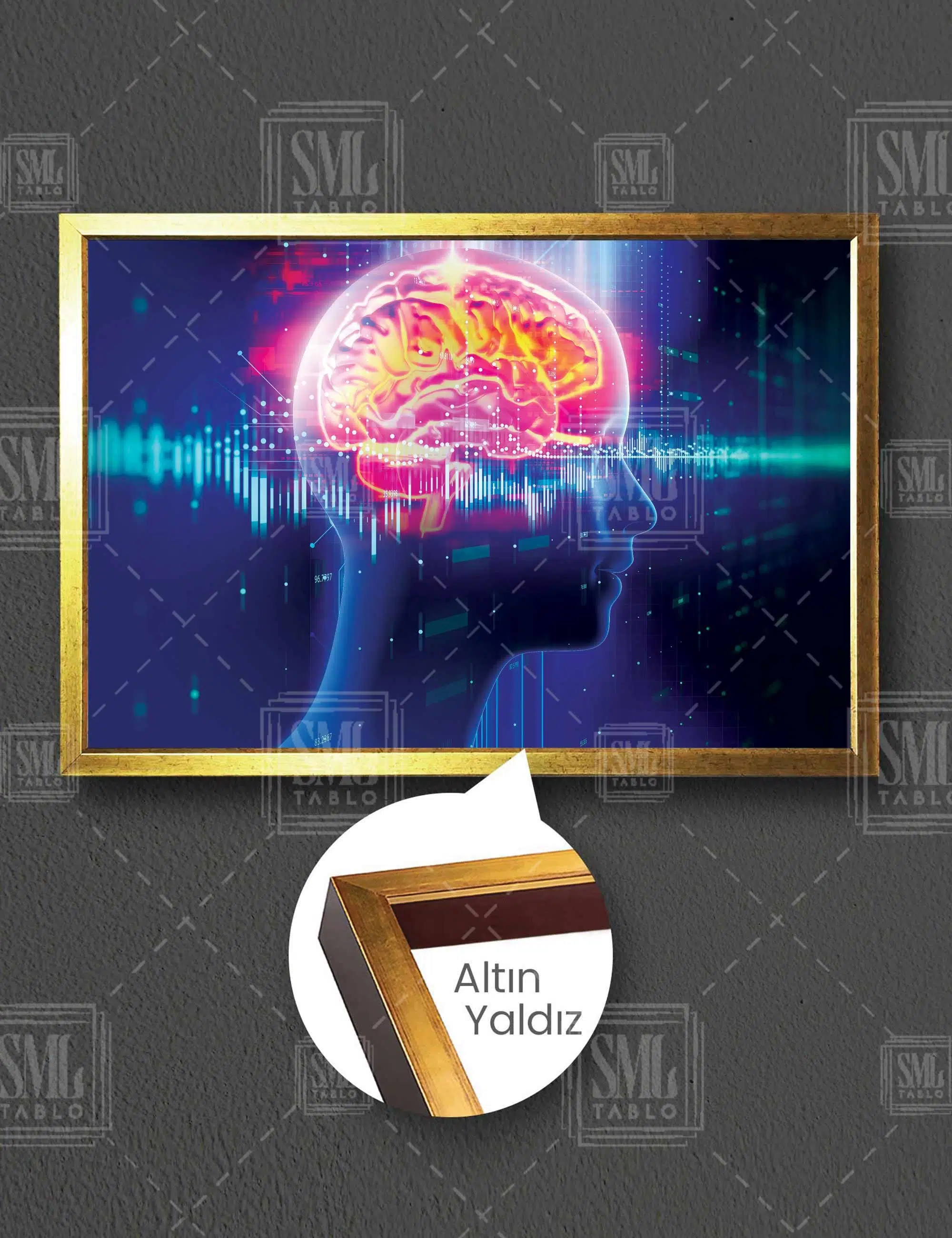 Beyin Dalgaları Brain Nöroloji Hekimi Ofisi Yatay Çerçeveli Kanvas Tablo