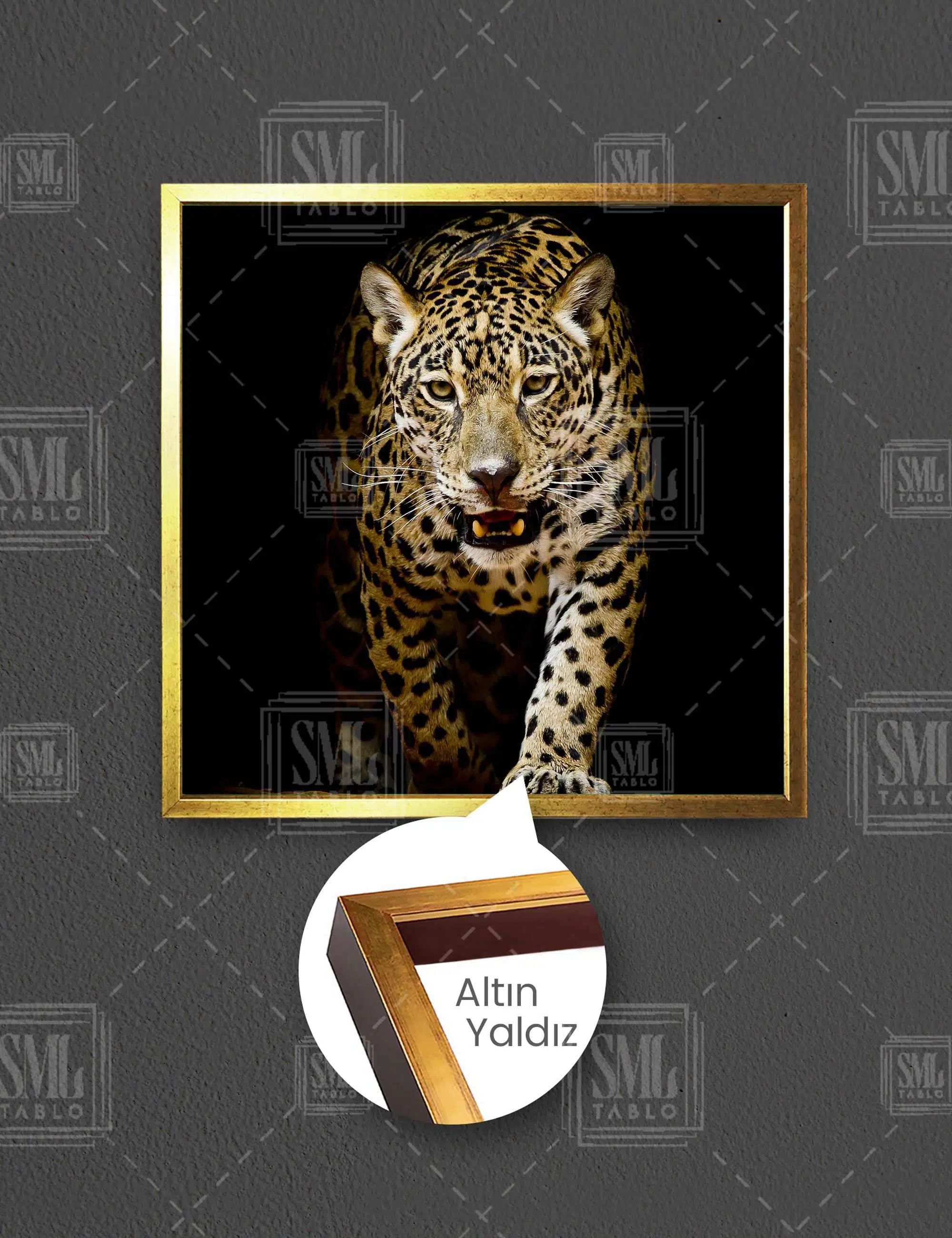 Vahşi Leopar Growlıng Leopard Afrika Aslan Kral Kare Çerçeveli Kanvas Tablo
