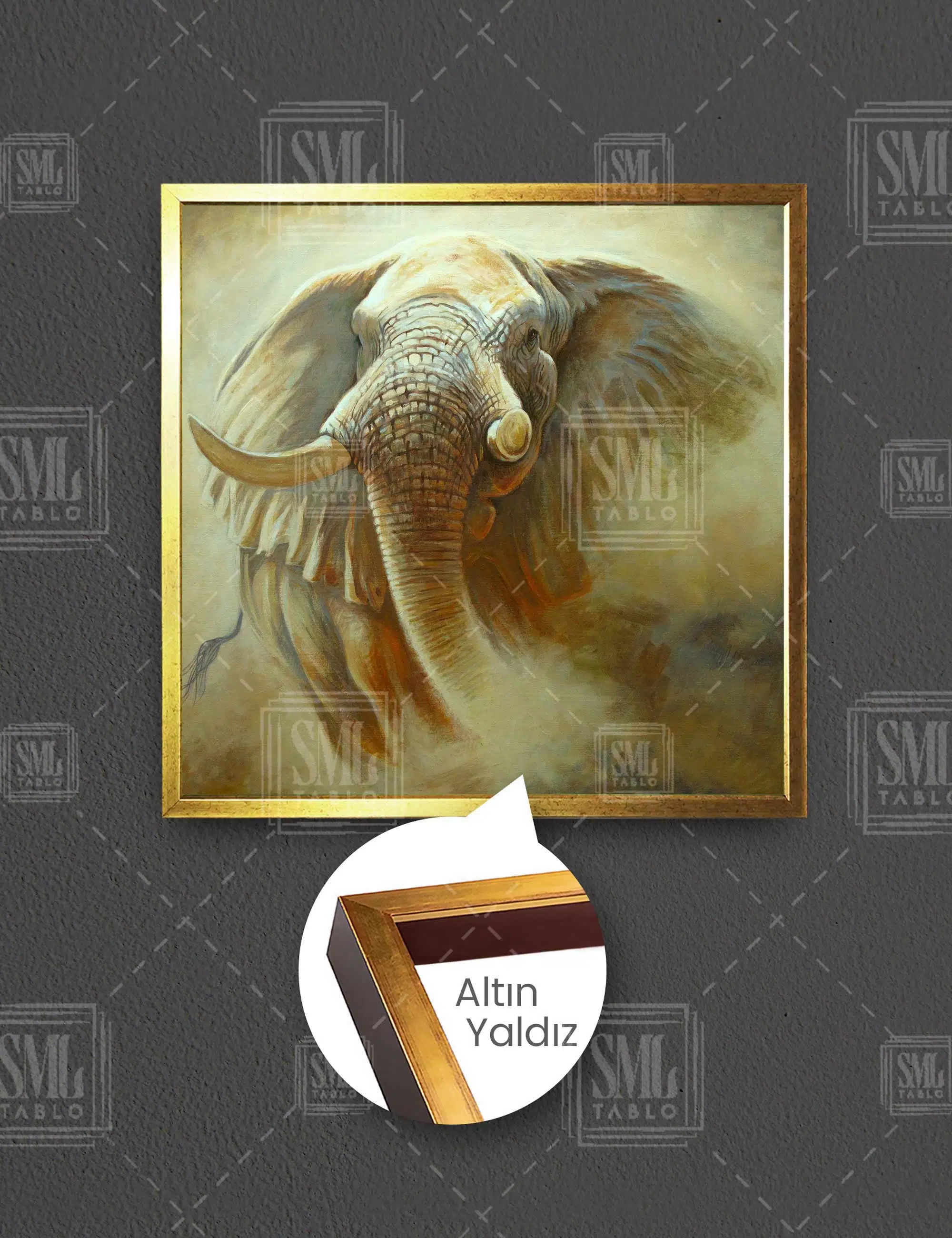 Soyut Fil Dekor Modern Afrika Sanatsal Art Hayvan Kare Çerçeveli Kanvas Tablo