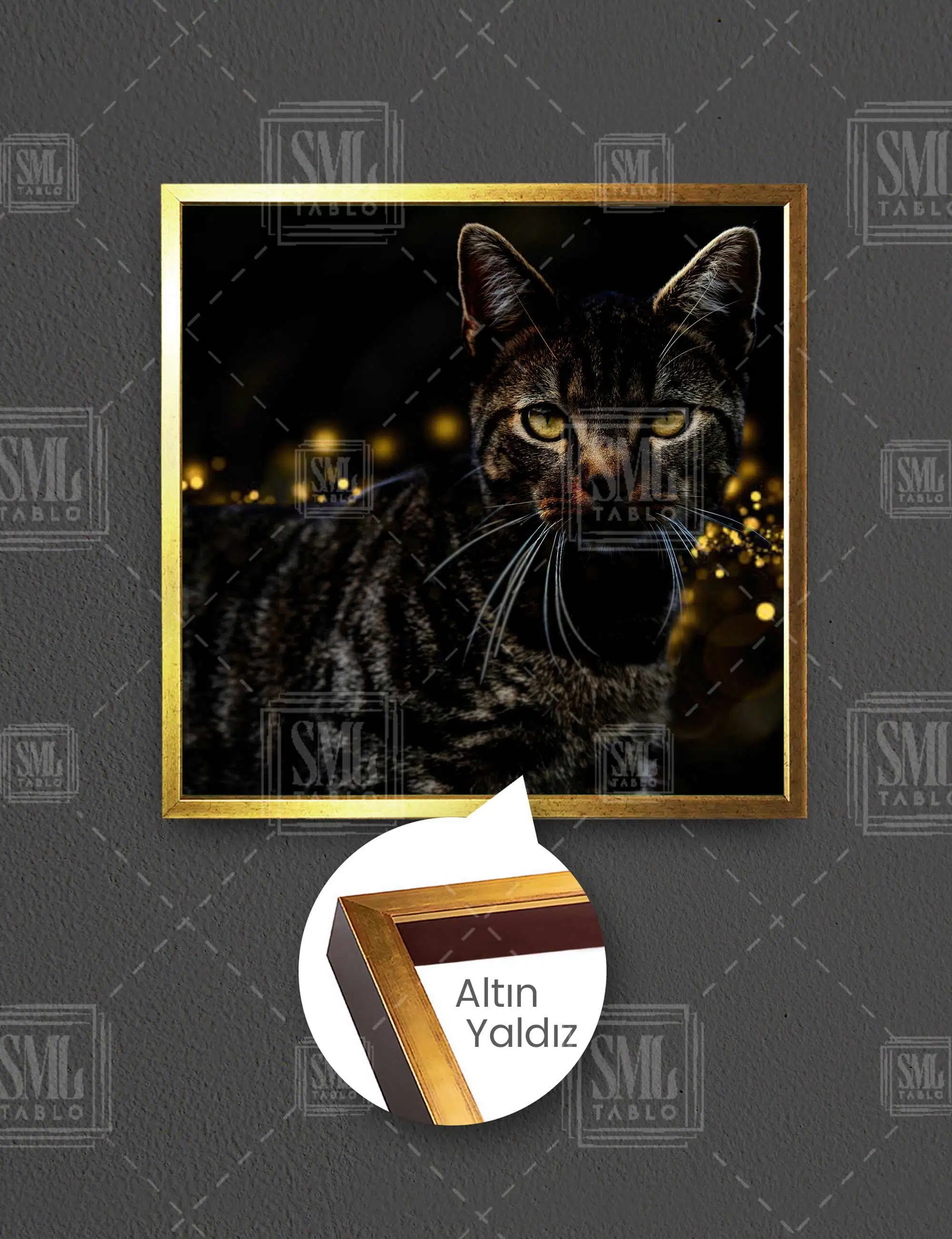 Gece Işıkları Ve Siyah Gri Kedi Hayvan Dekor Kare Çerçeveli Kanvas Tablo