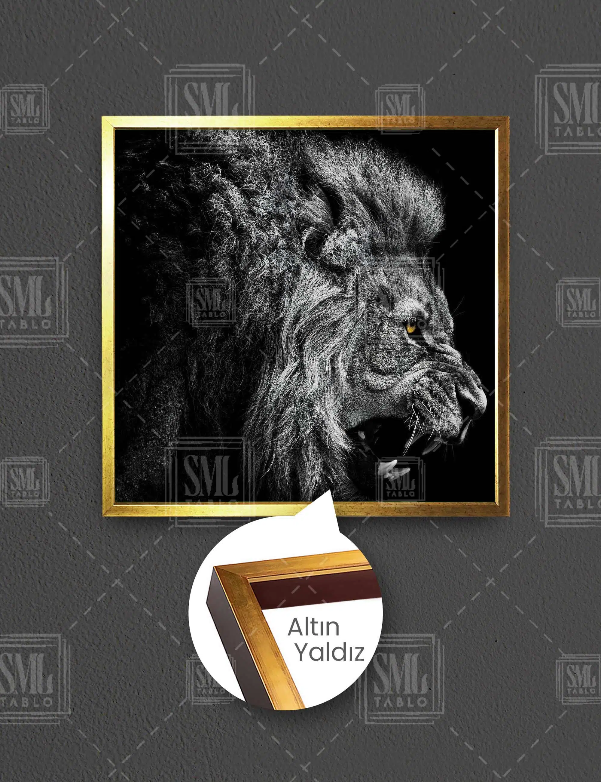 Ağzını Açmış Vahşi Aslan Güç Kral King Leon Kare Çerçeveli Kanvas Tablo