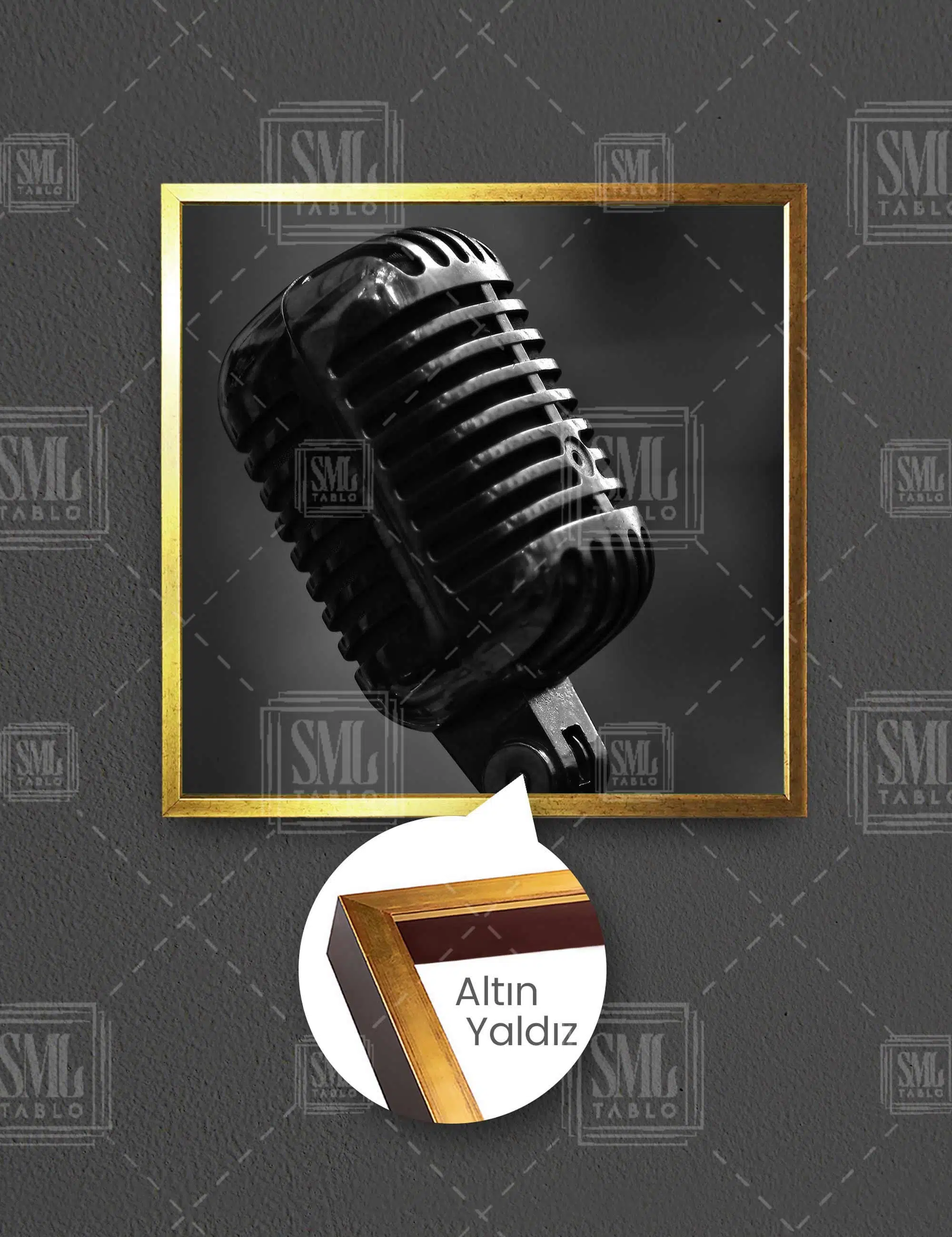 Siyah Gir Antika Mikrofon Müzik Sanat Nostalji Retro Dekor Kare Çerçeveli Kanvas Tablo