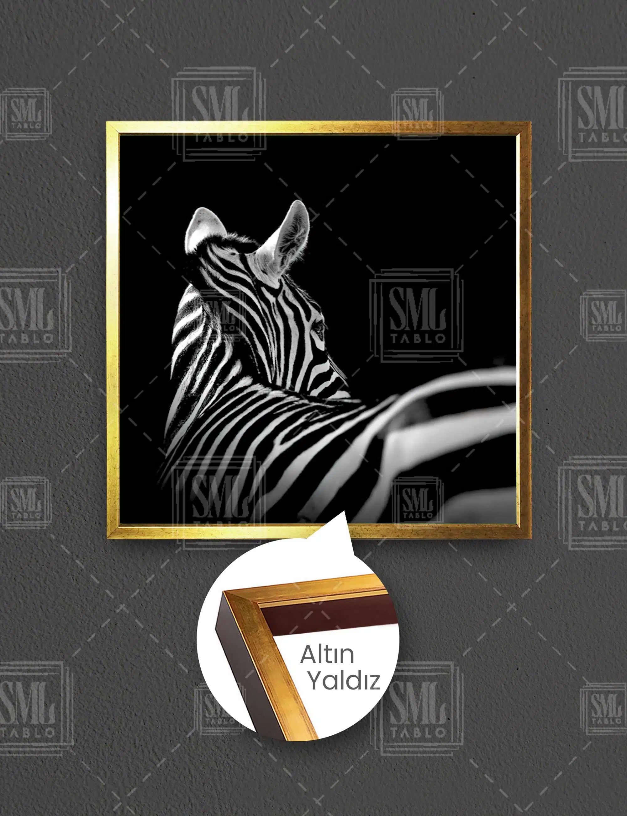 Zebra Arkası Dönük Siyah Beyaz Hayvan Dekor Kare Çerçeveli Kanvas Tablo