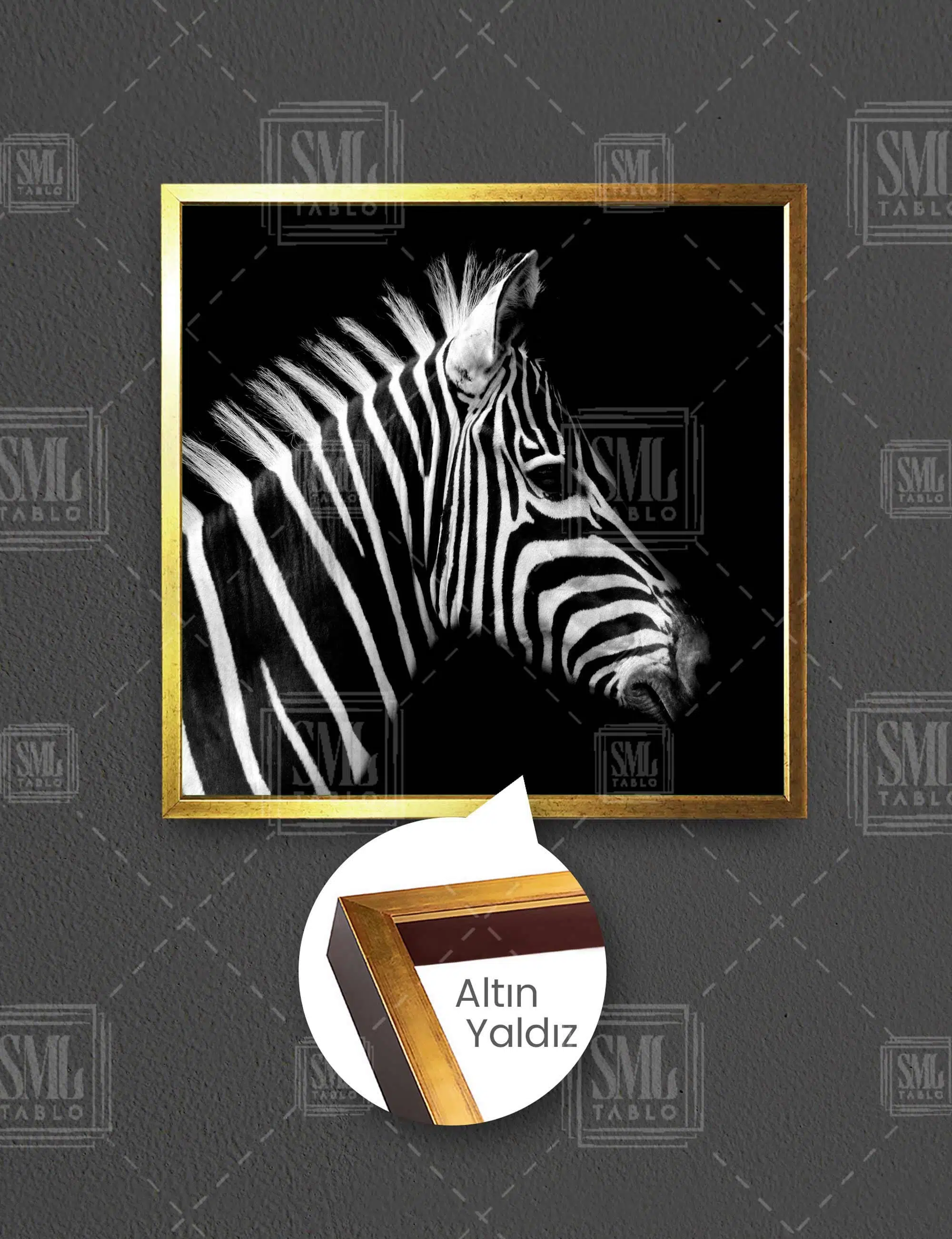 Zebra Kafası Afrika Hayvan Siyah Beyaz Kare Çerçeveli Kanvas Tablo