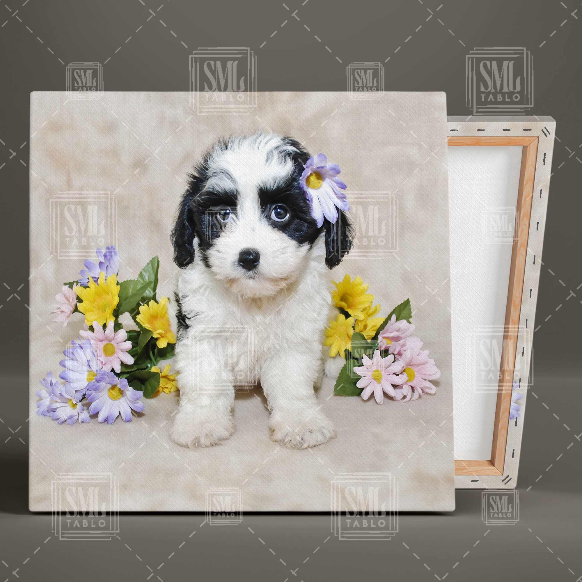 Yavru Köpek Çiçek Fotoğrafçı Yakın Çekim Masum Kare Kanvas Tablo Yavru Köpek Çiçek Fotoğrafçı Yakın Çekim Masum Kare Kanvas Tablo